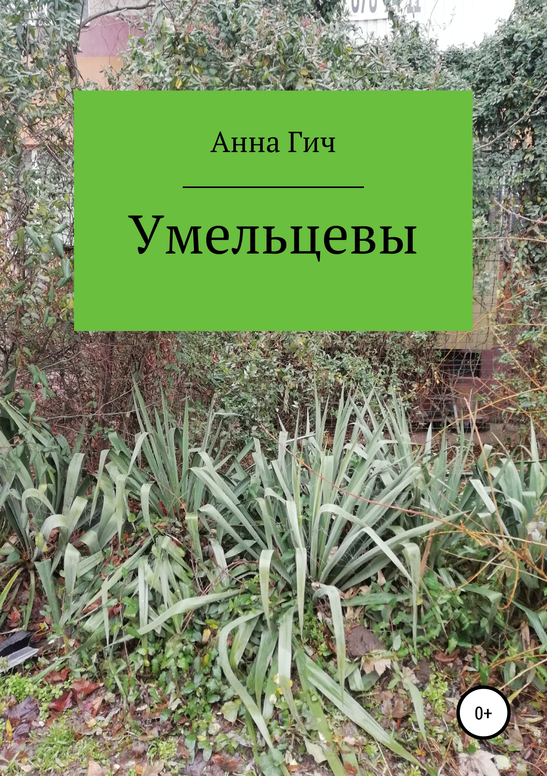 Обложка книги «Умельцевы»