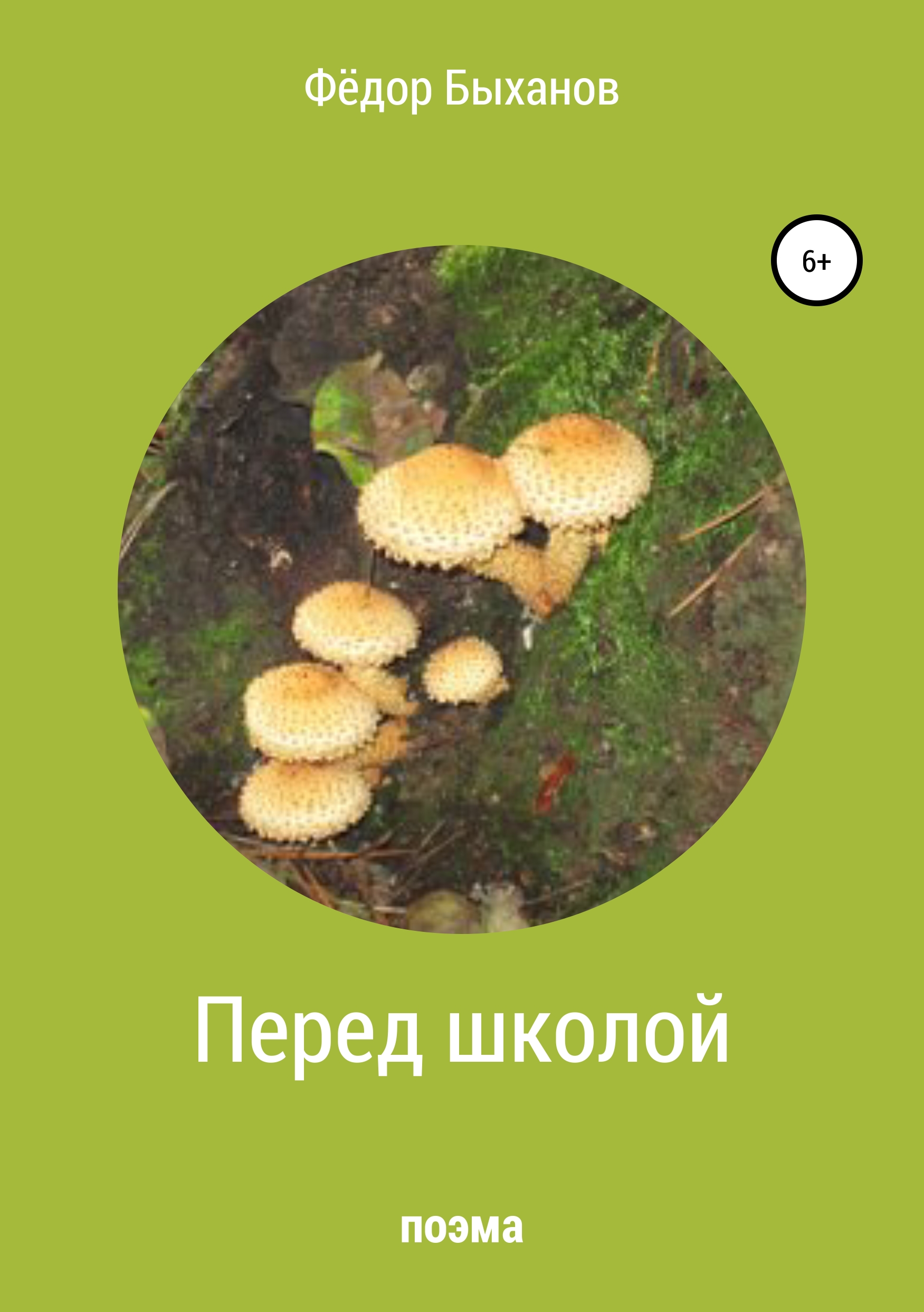 Обложка книги «Перед школой»