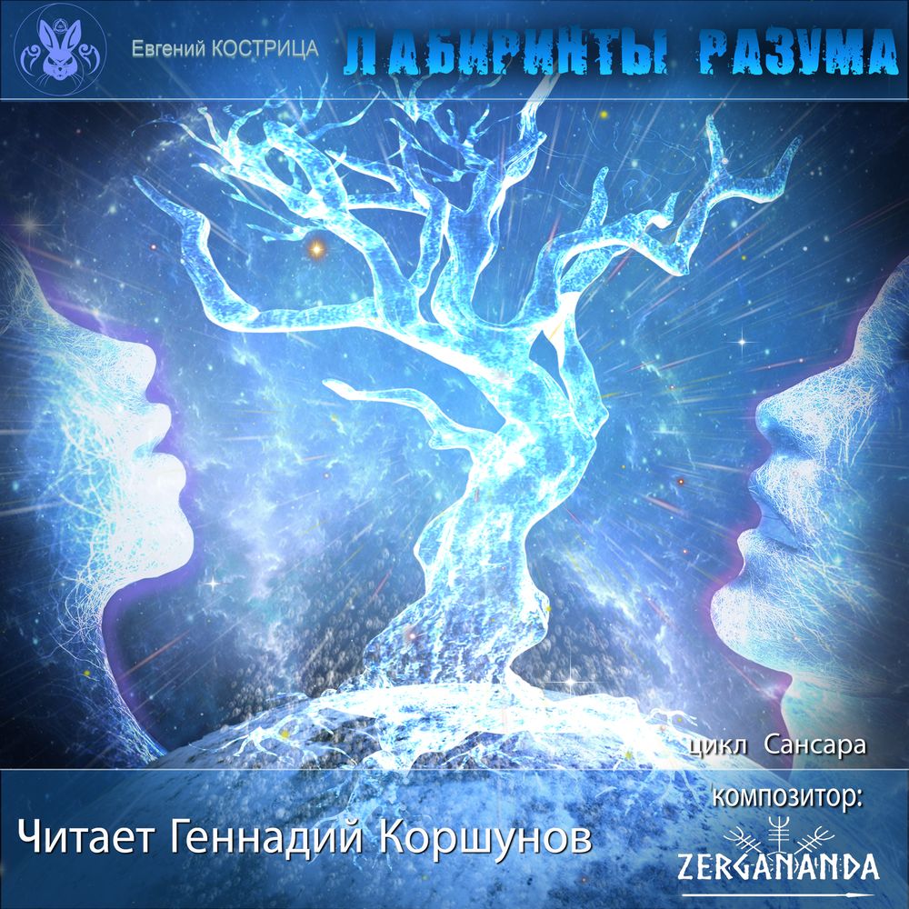Обложка книги «Лабиринты разума»