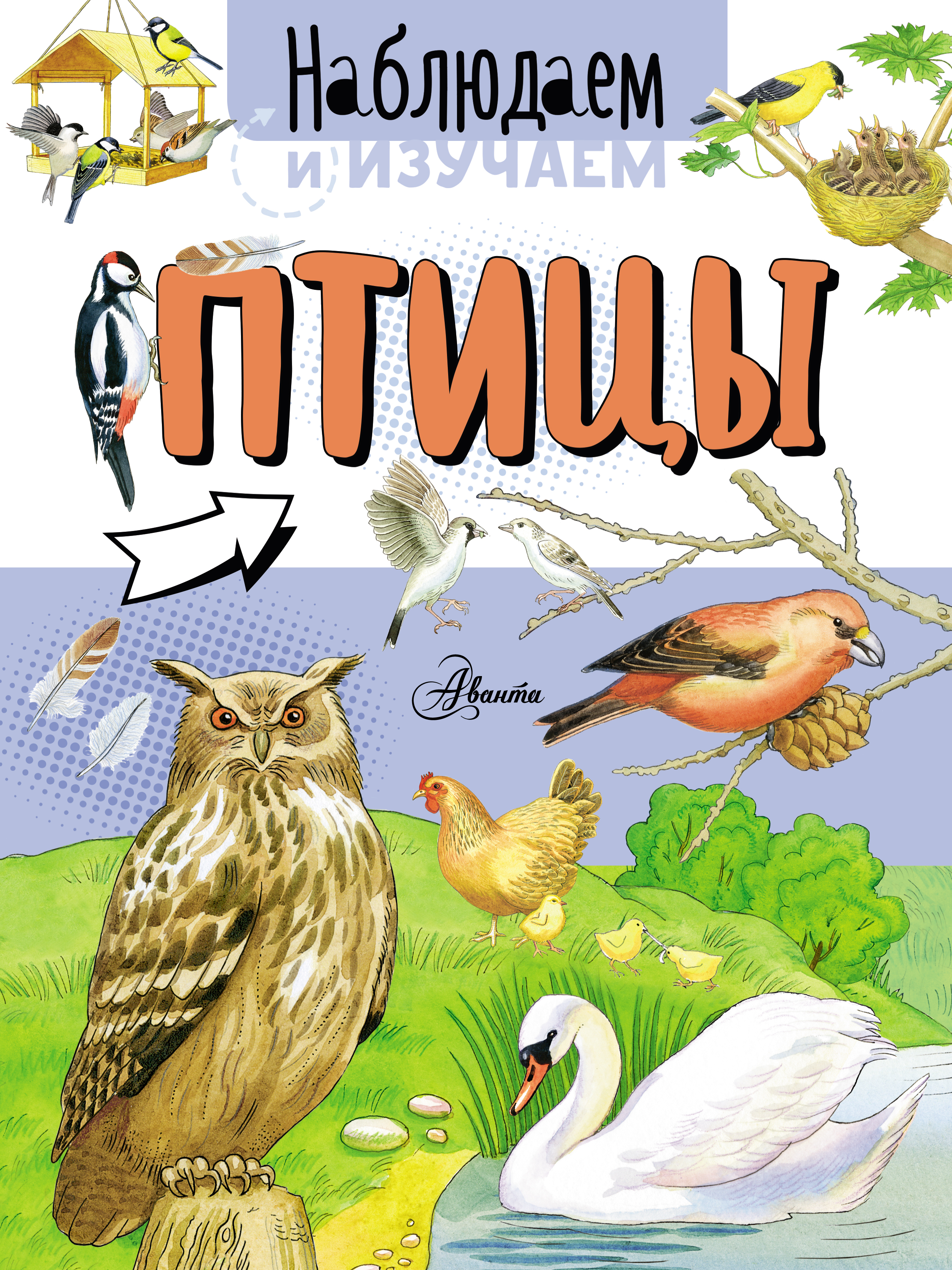 Обложка книги «Птицы»