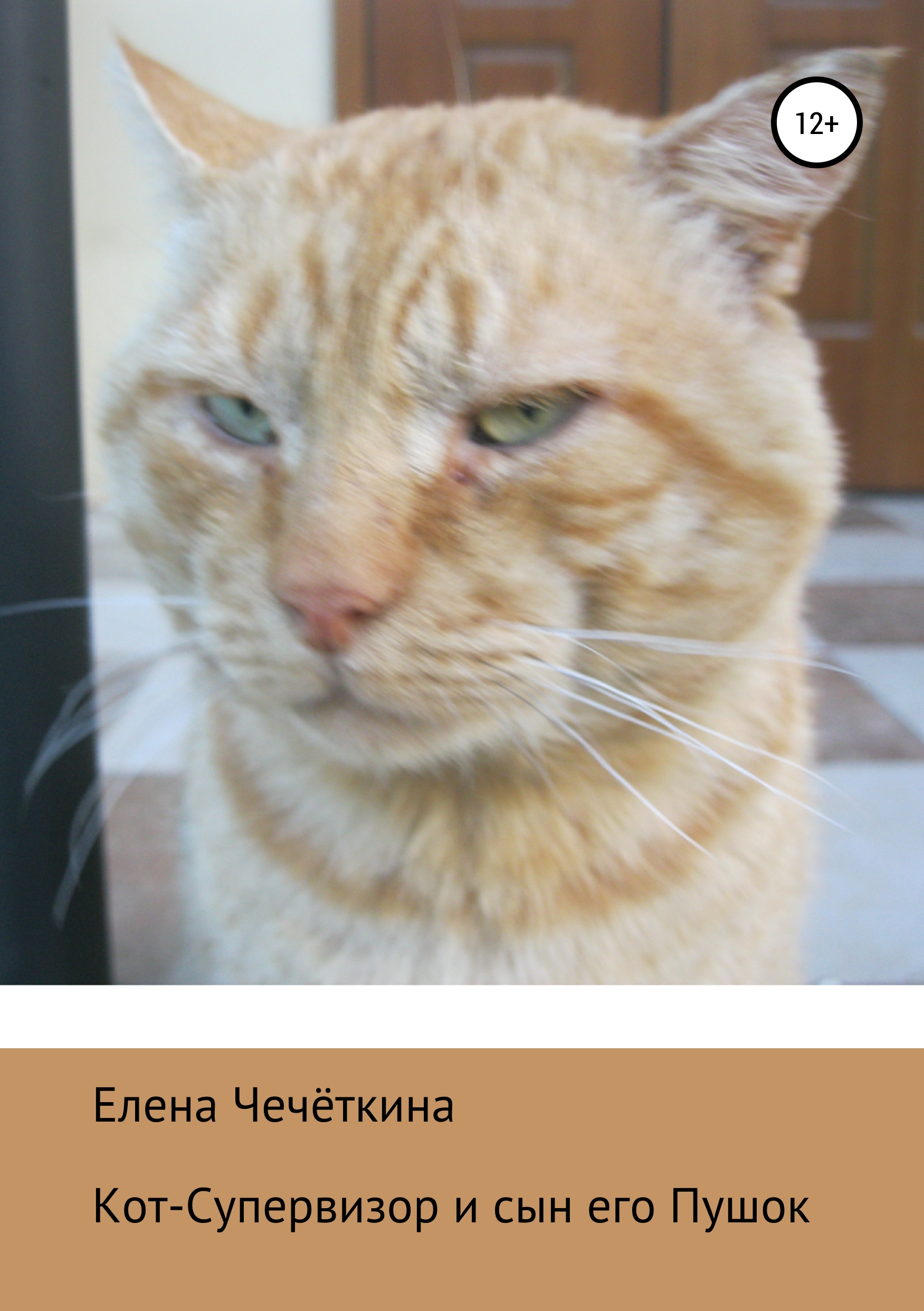 Обложка книги «Кот-Супервизор и сын его Пушок»
