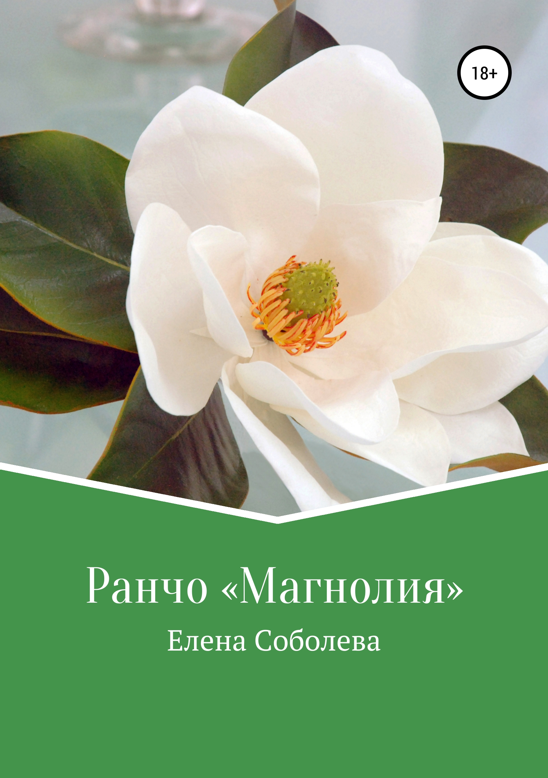 Обложка книги «Ранчо «Магнолия»»