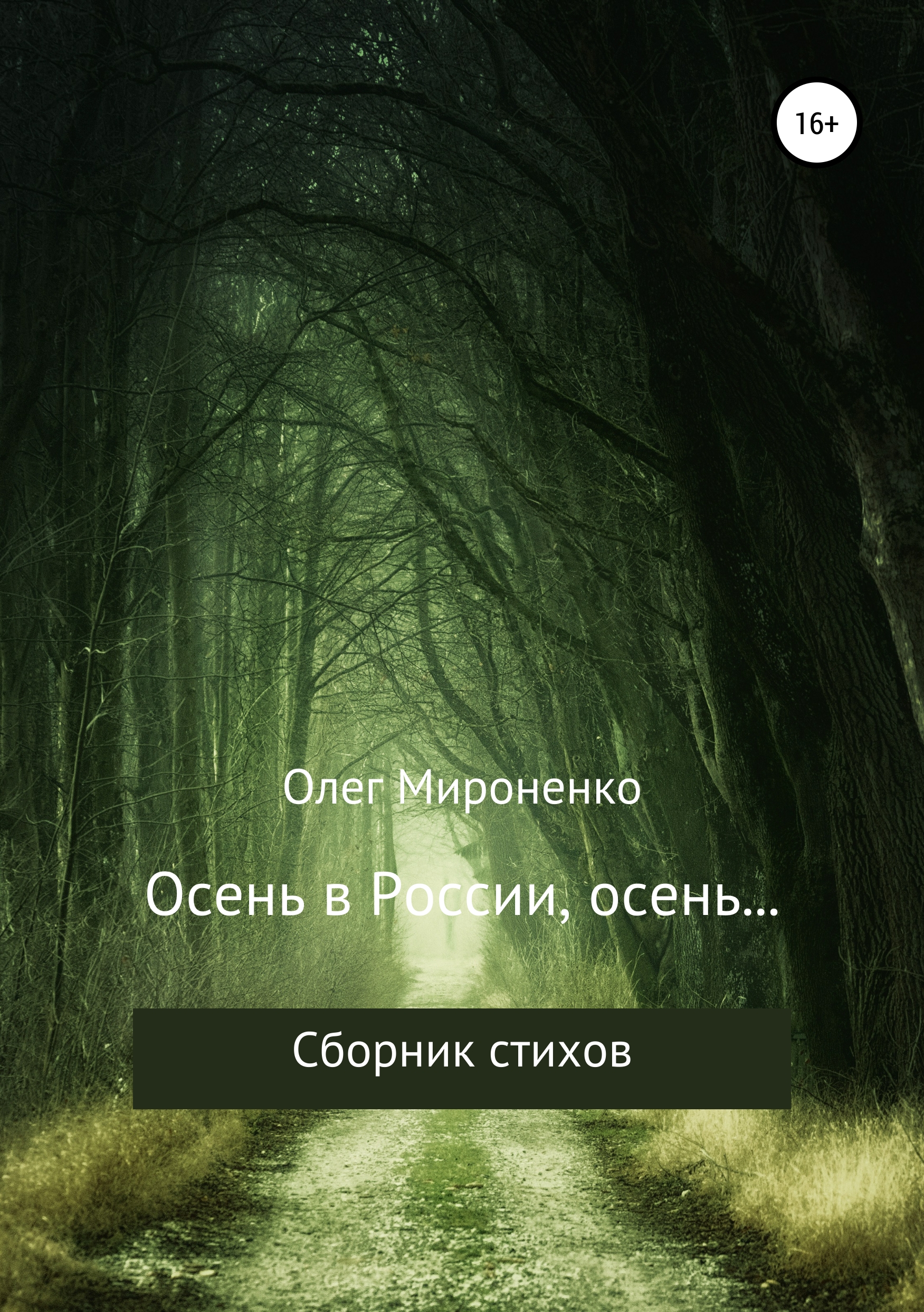 Обложка книги «Осень в России, осень… Сборник стихов»