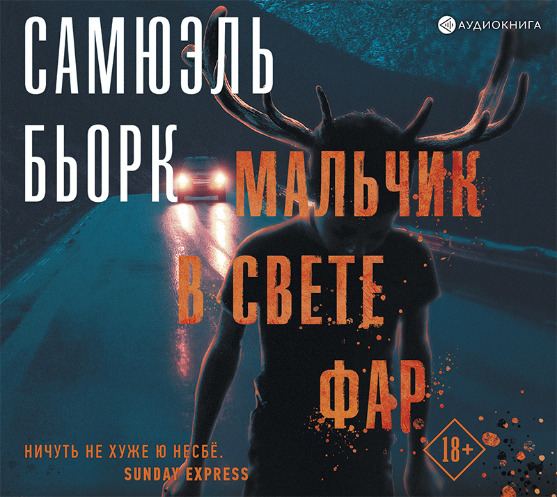 Обложка книги «Мальчик в свете фар»