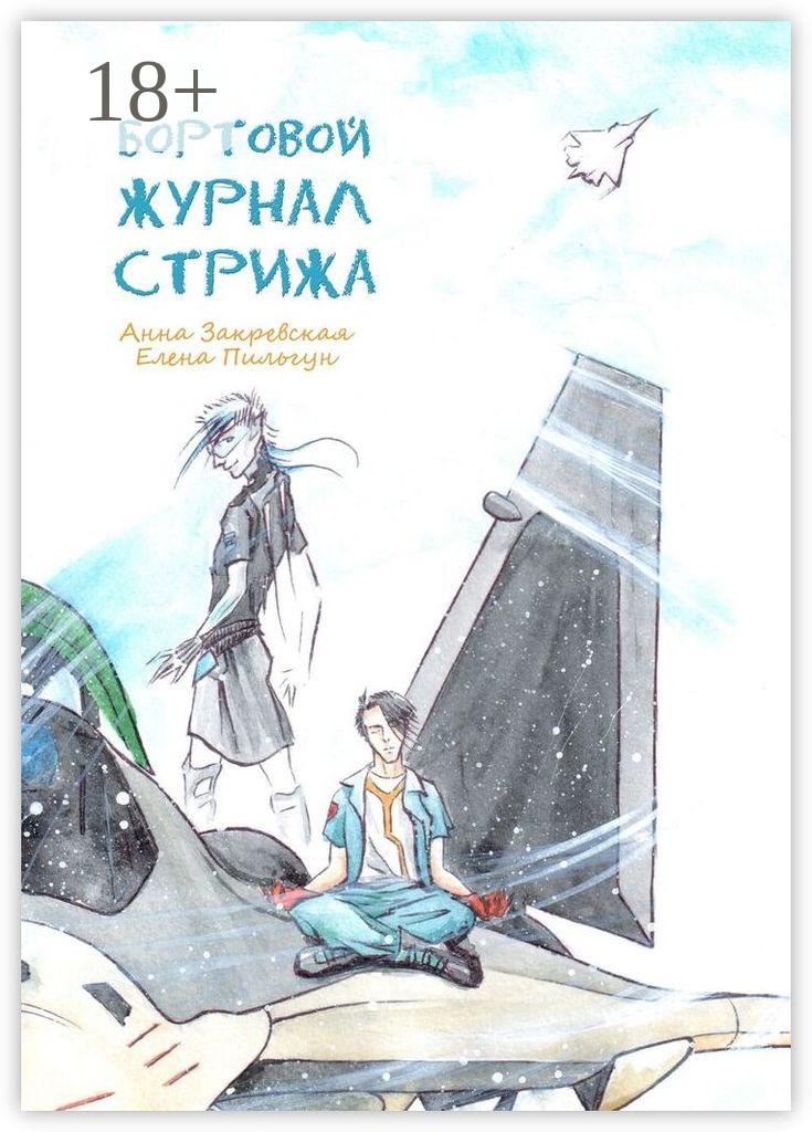 Обложка книги «Бортовой журнал Стрижа»
