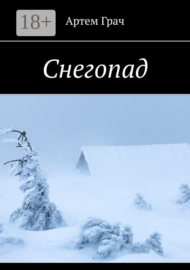 Обложка книги «Снегопад»