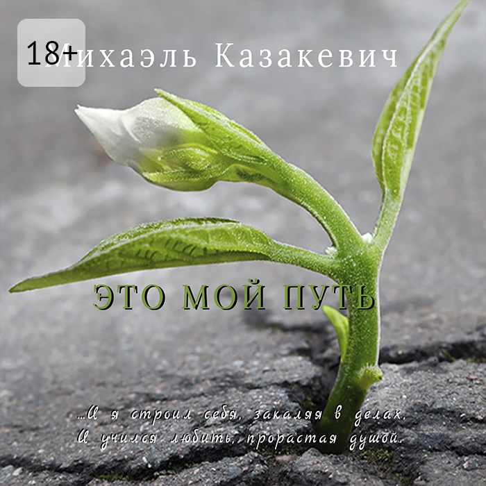 Обложка книги «Это мой путь»