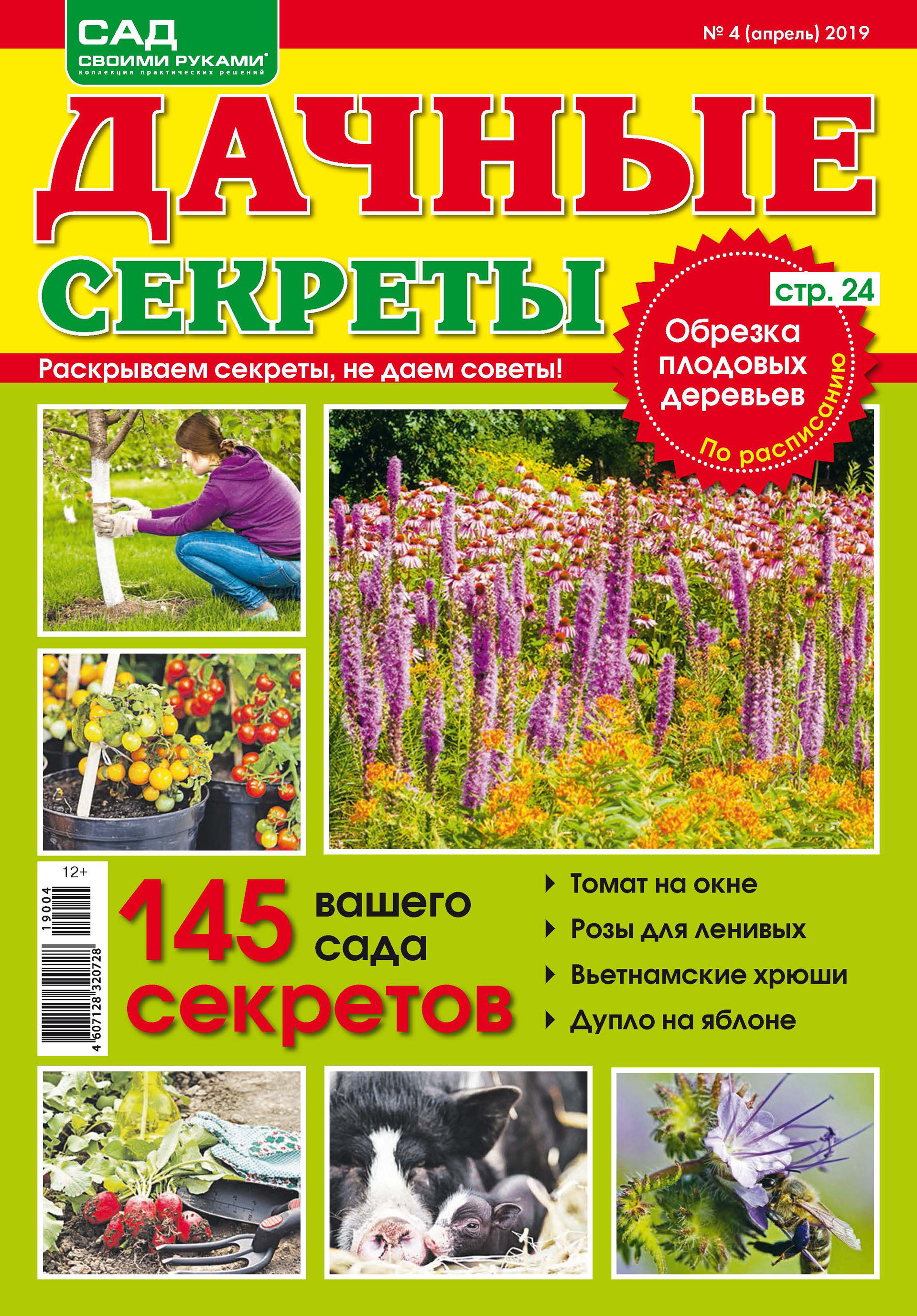 Обложка книги «Сад своими руками. Дачные секреты №04/2019»