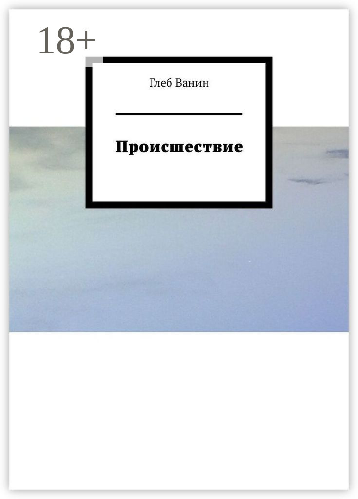 Обложка книги «Происшествие»