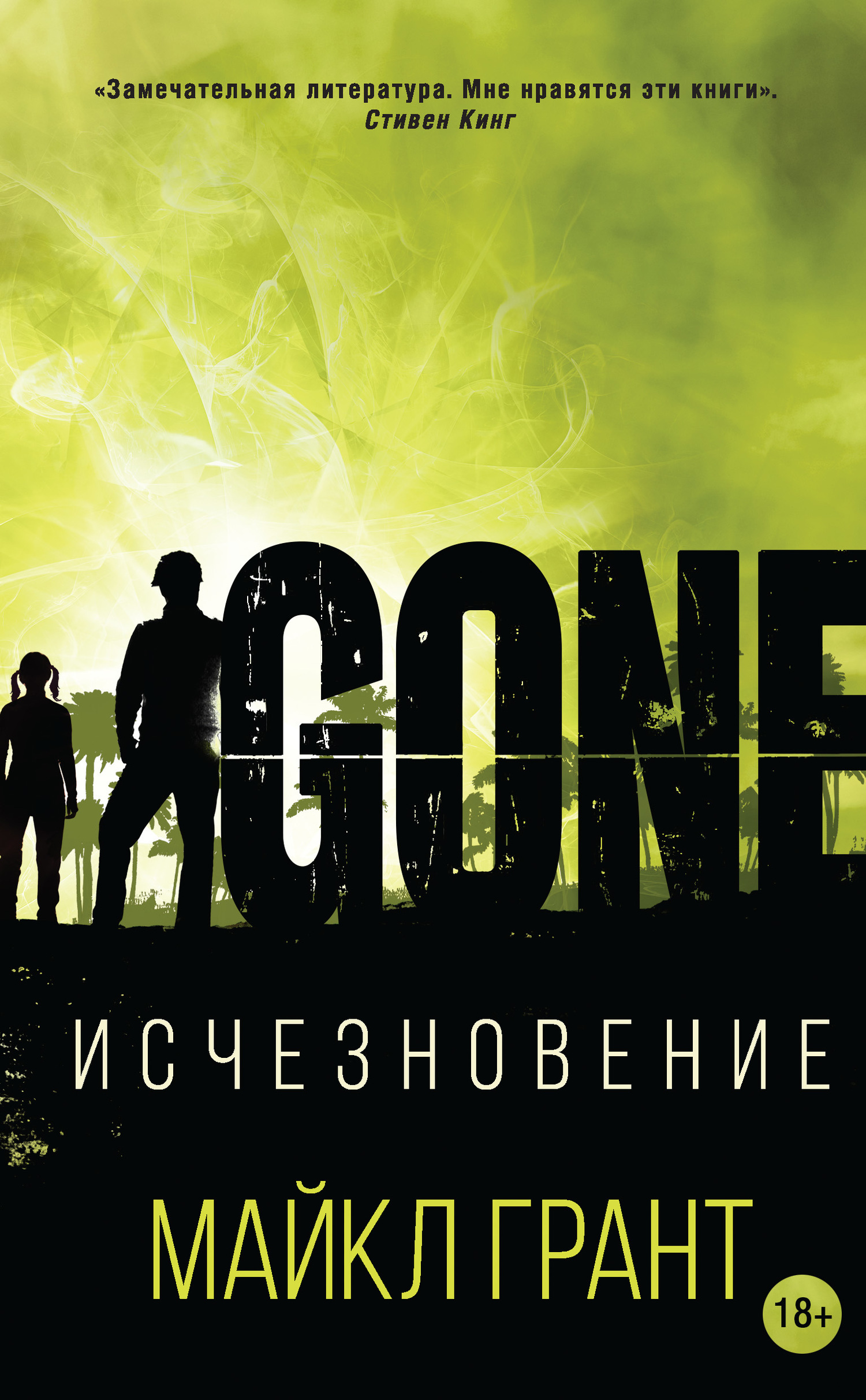 Обложка книги «Исчезновение»