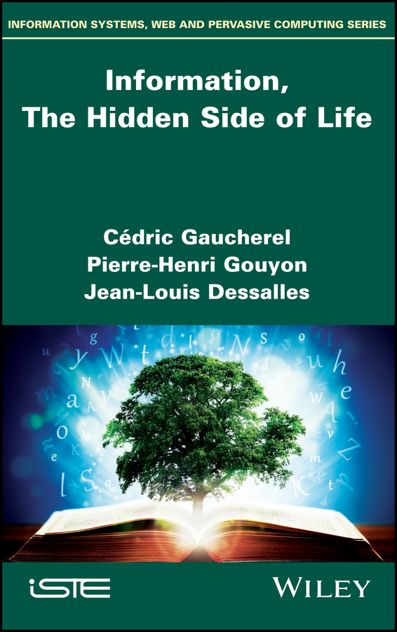 Обложка книги «Information, The Hidden Side of Life»