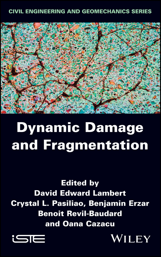 Обложка книги «Dynamic Damage and Fragmentation»