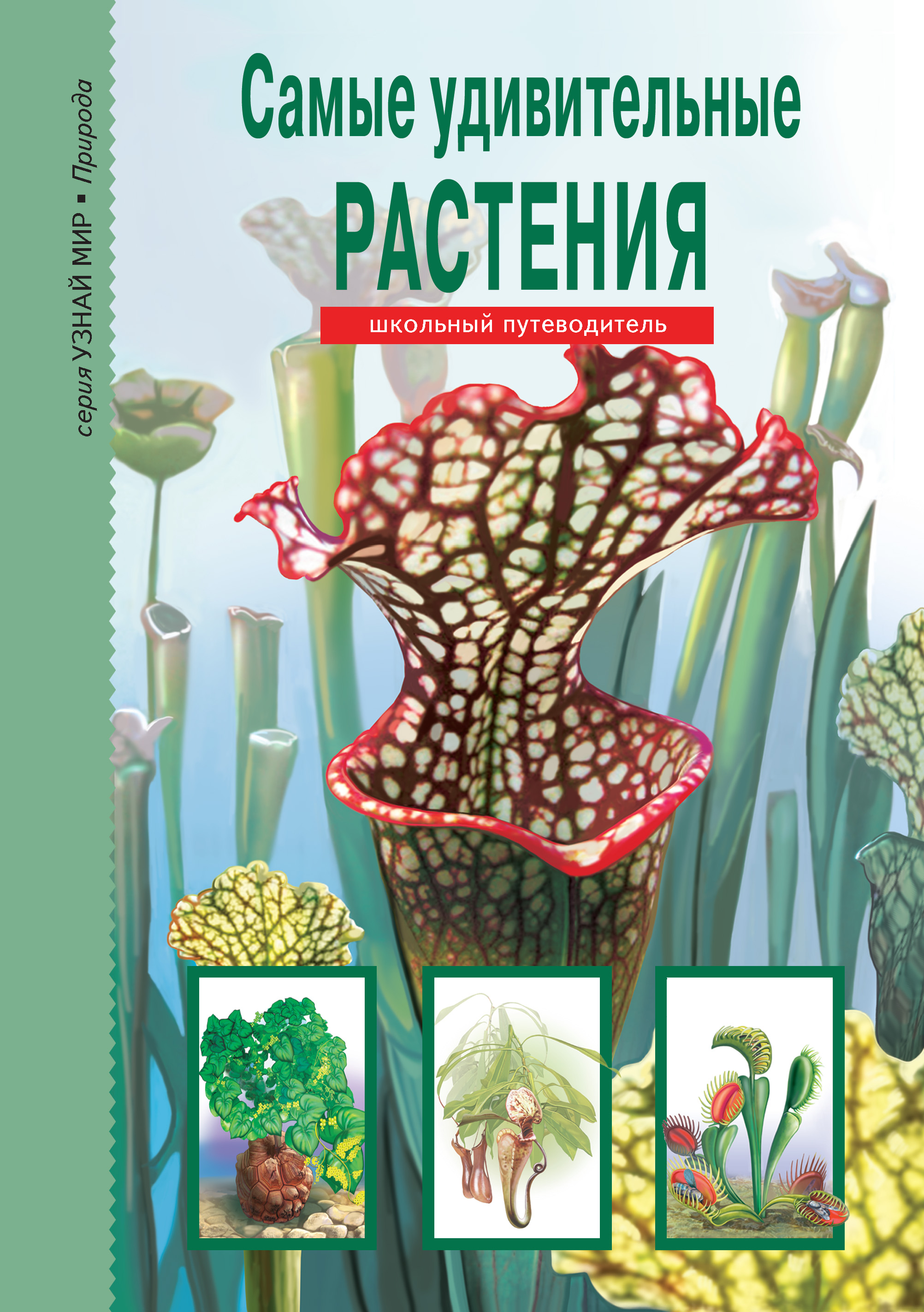 Обложка книги «Самые удивительные растения»