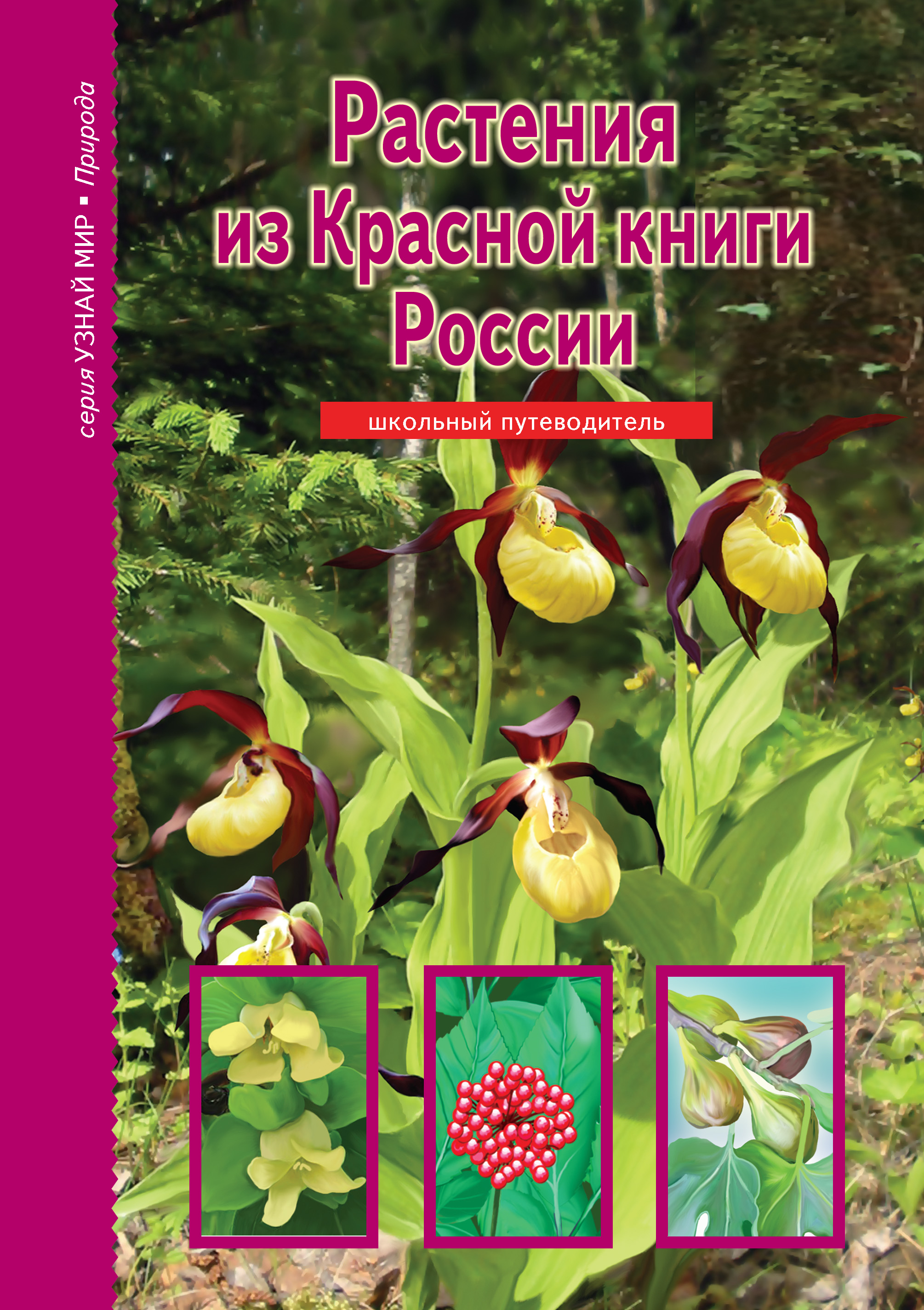 Обложка книги «Растения из Красной книги России»