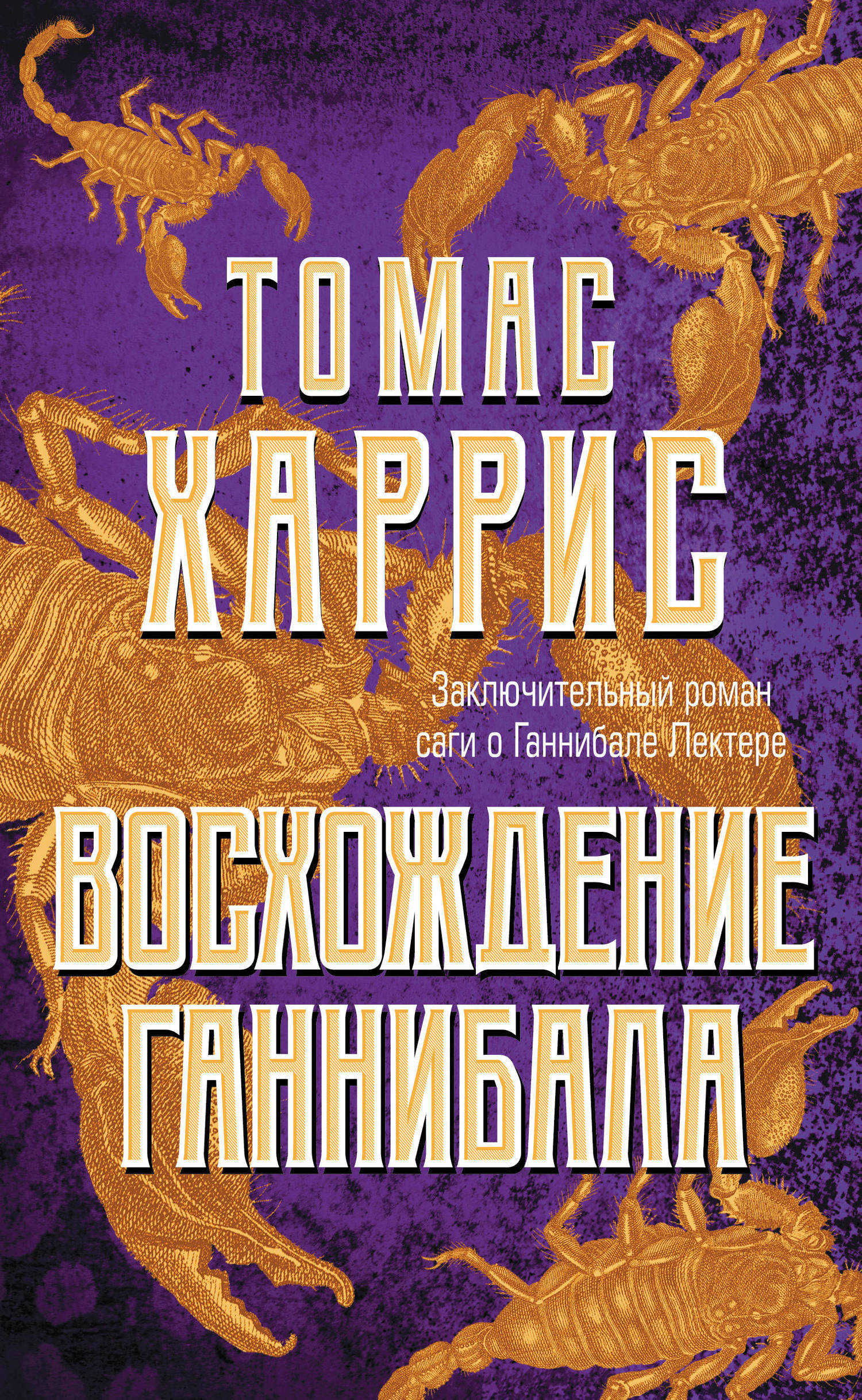 Обложка книги «Восхождение Ганнибала»