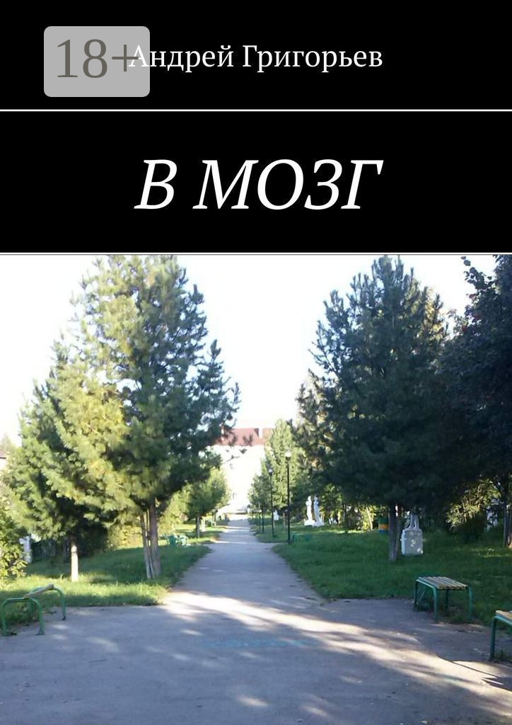 Обложка книги «В мозг»