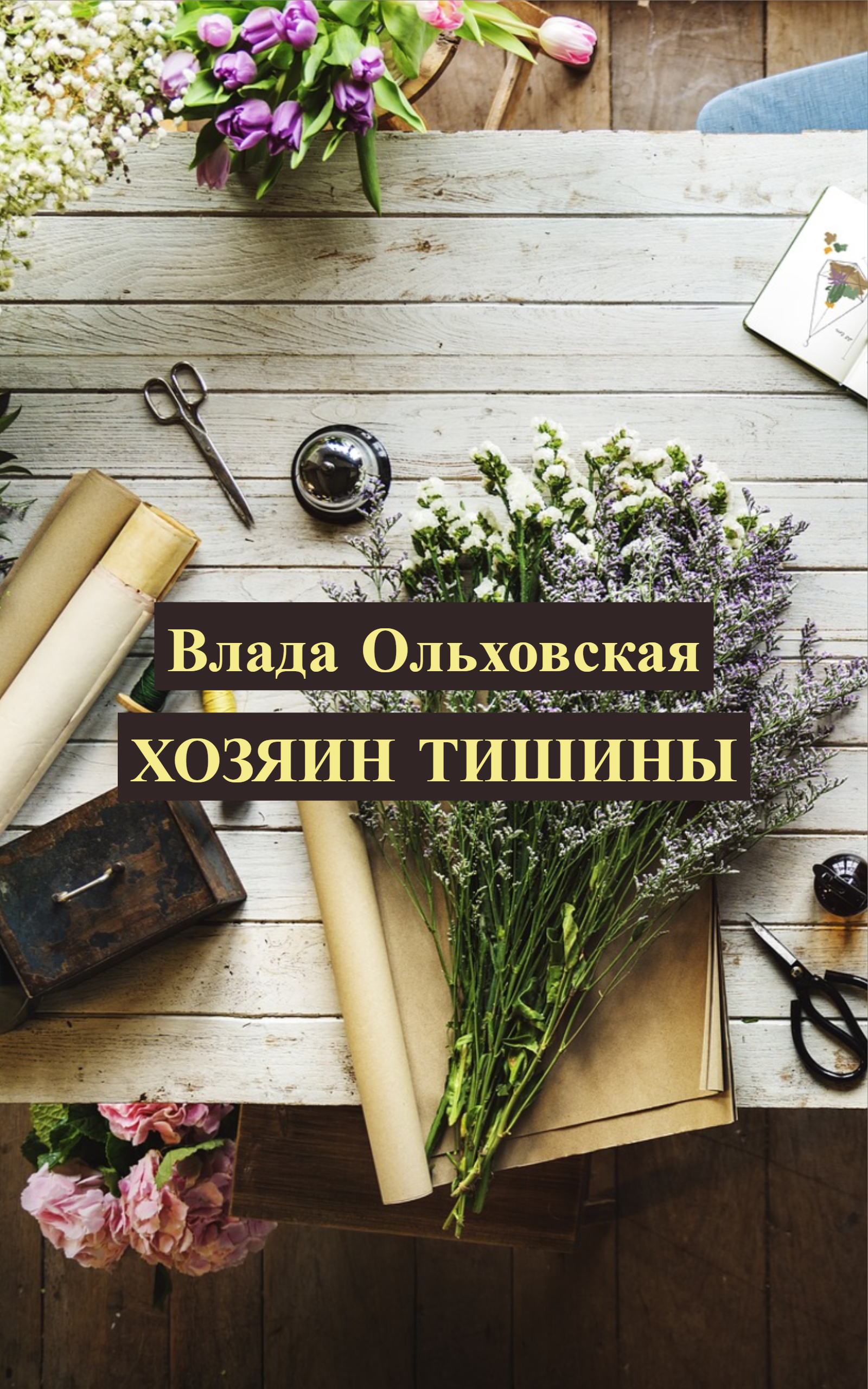 Обложка книги «Хозяин тишины»