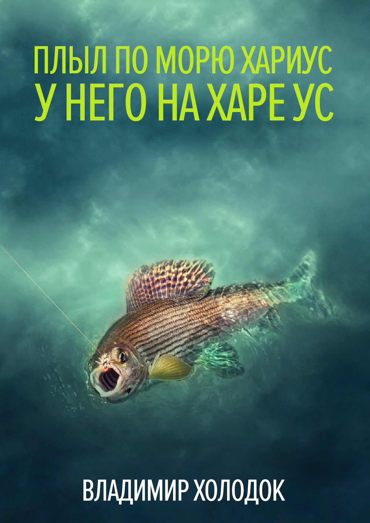 Обложка книги «Плыл по морю хариус»