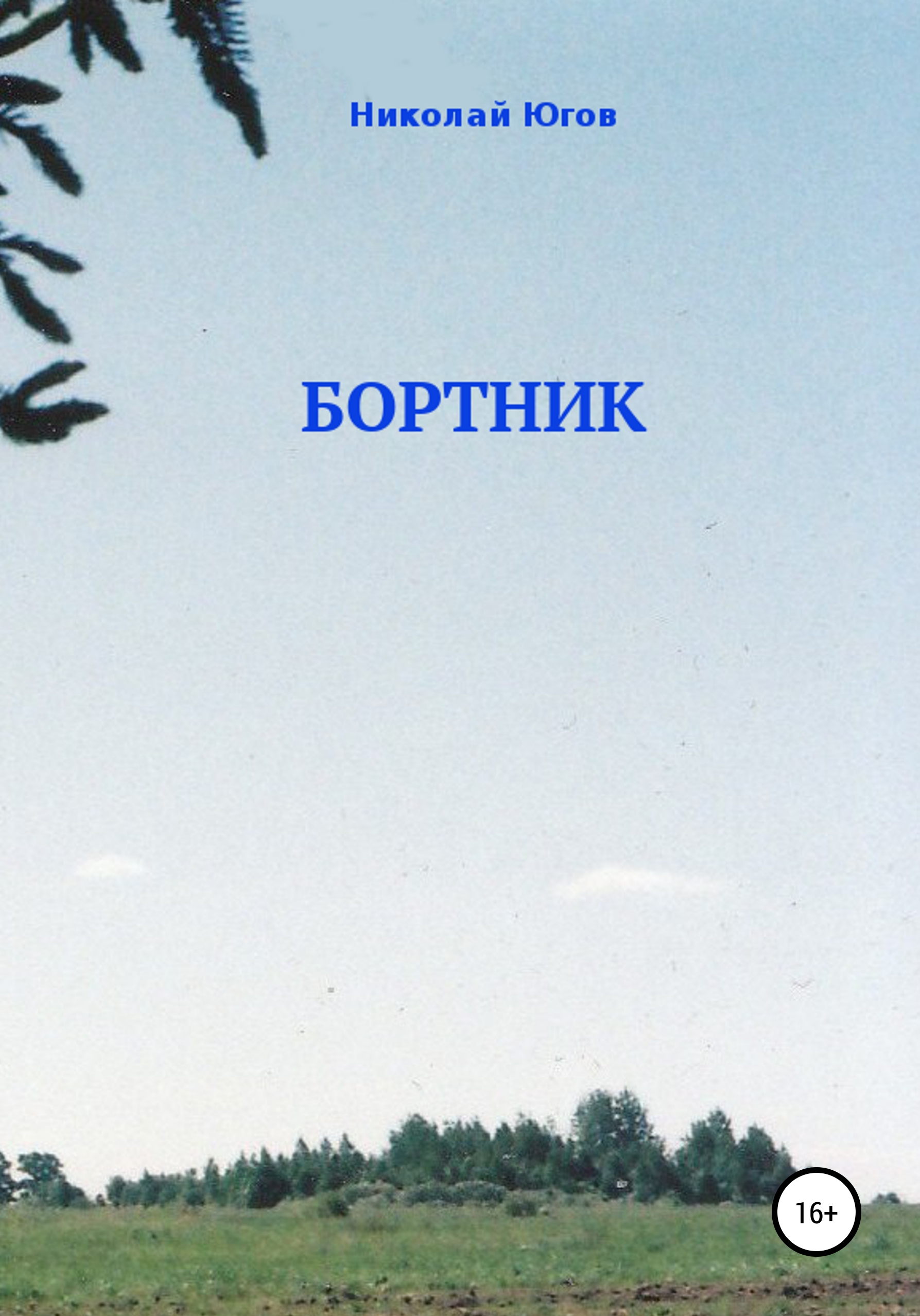 Обложка книги «Бортник»