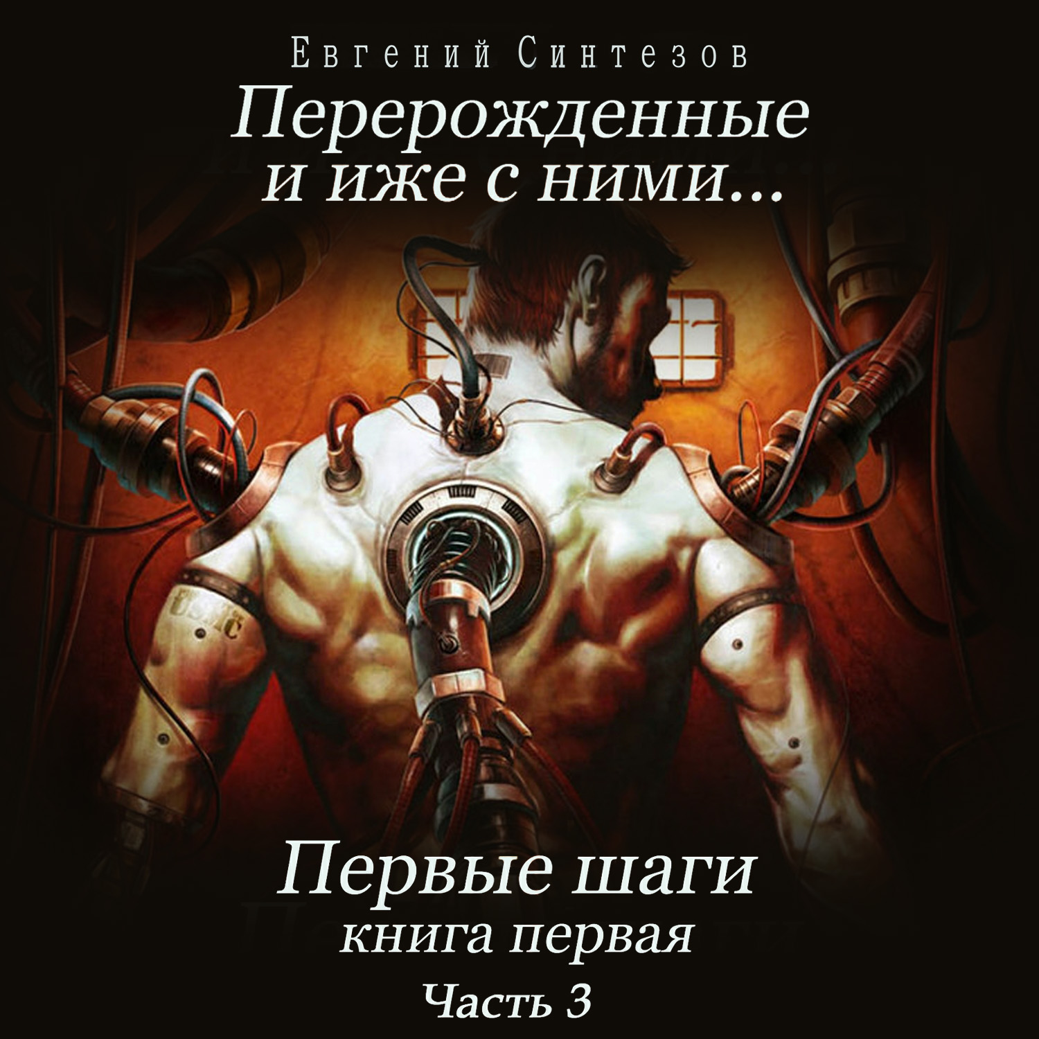 Обложка книги «Перерожденные и иже с ними… Первые шаги. Книга первая. Часть третья»