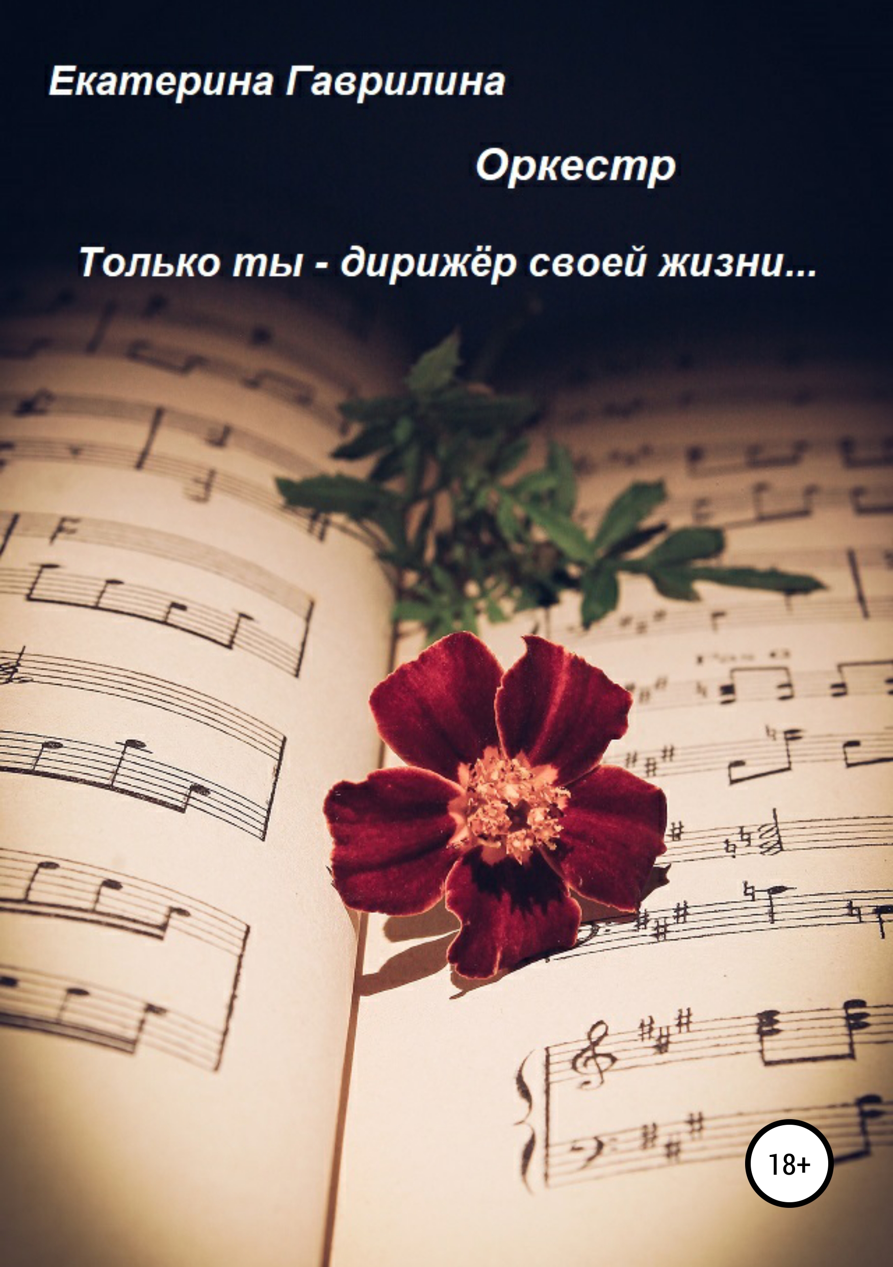 Обложка книги «Оркестр»