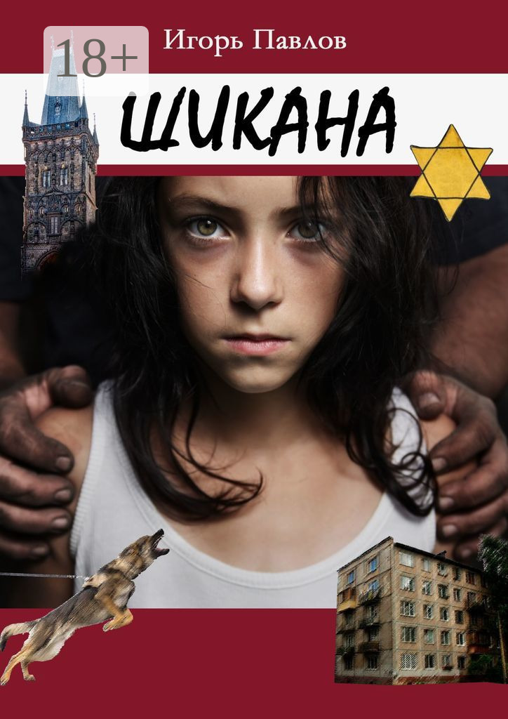 Обложка книги «Шикана»