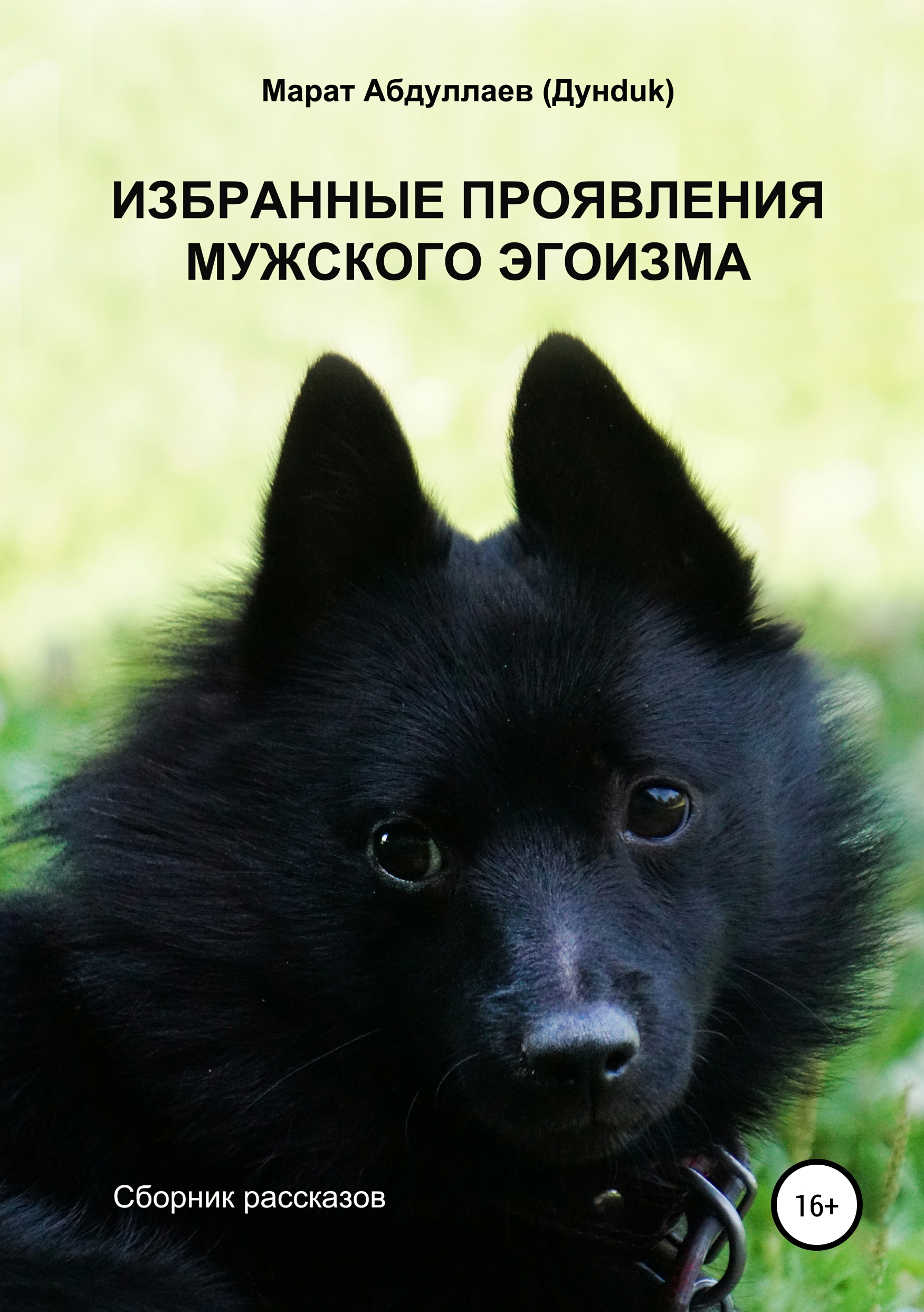 Обложка книги «Избранные проявления мужского эгоизма. Сборник рассказов»