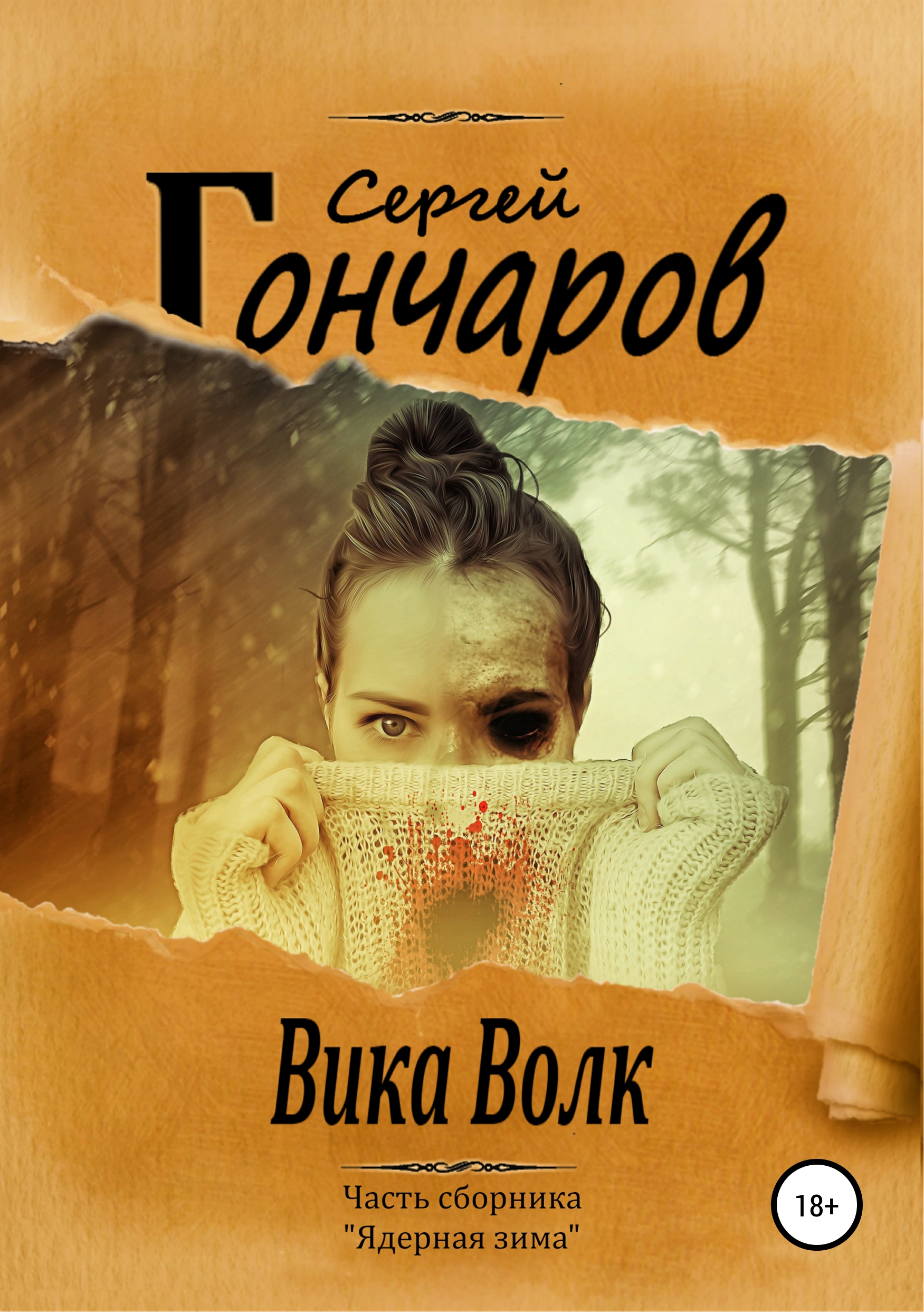 Обложка книги «Вика Волк»