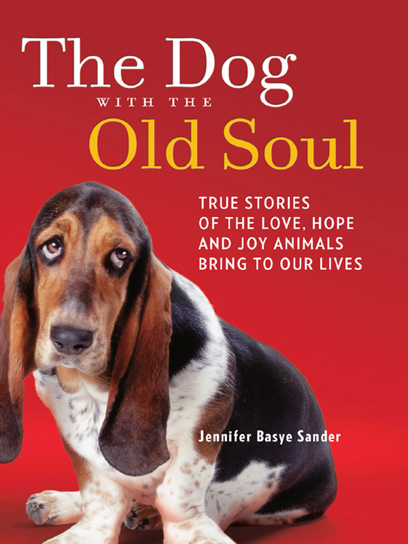 Обложка книги «The Dog with the Old Soul»