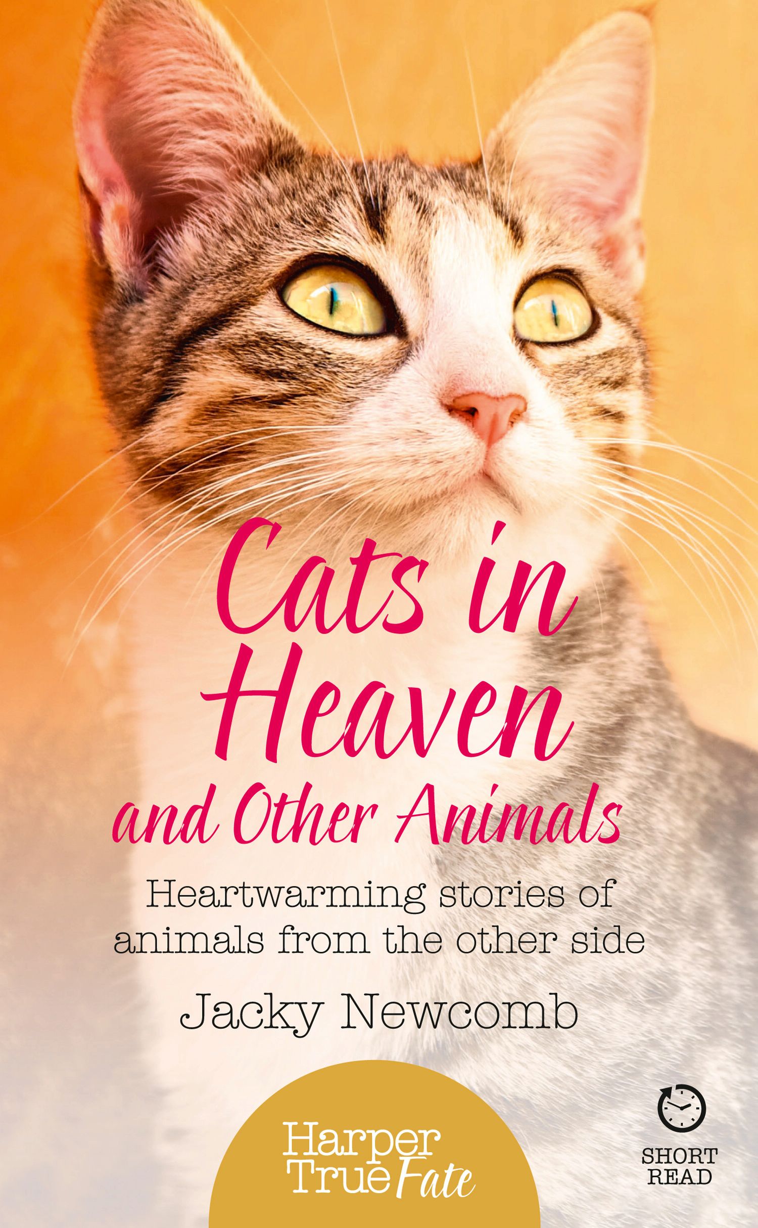 Обложка книги «Cats in Heaven: And Other Animals. Heartwarming stories of animals from the other side.»