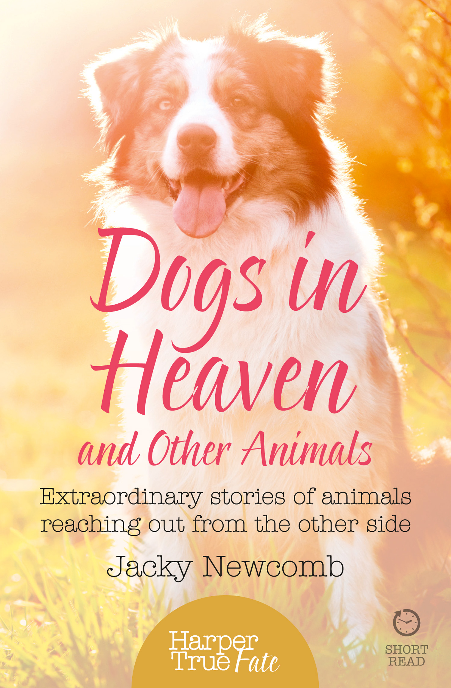 Обложка книги «Dogs in Heaven: and Other Animals: Extraordinary stories of animals reaching out from the other side»