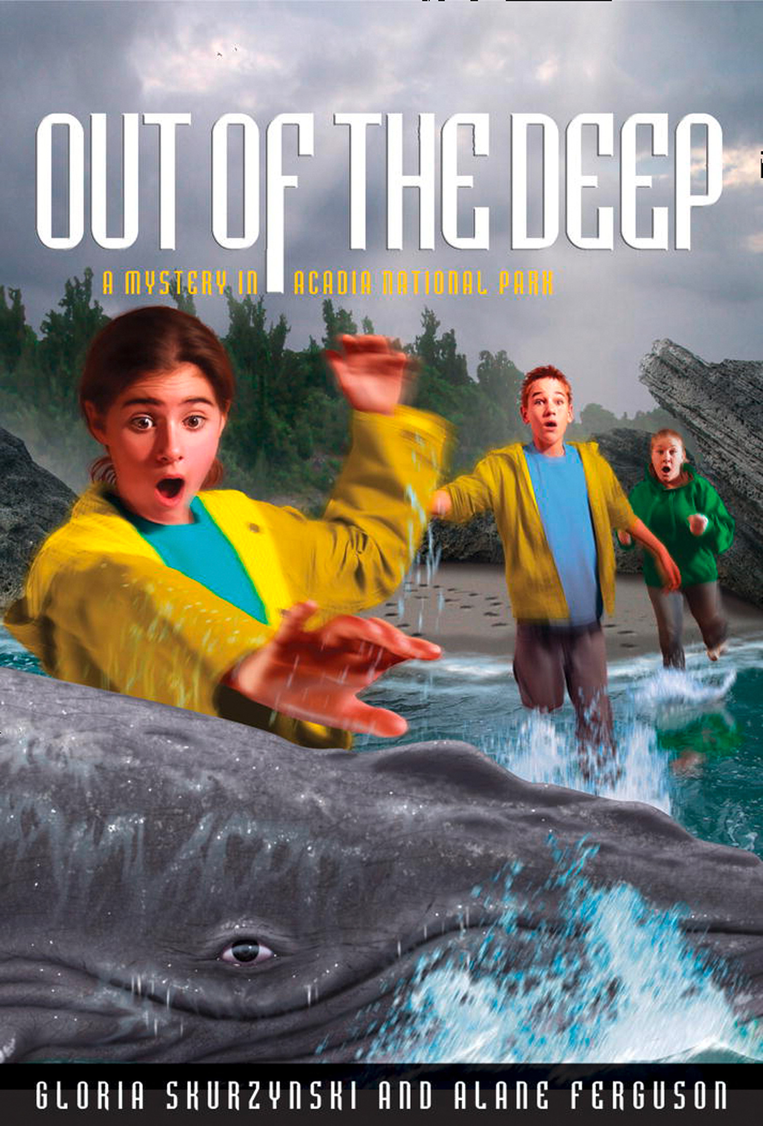 Обложка книги «Mysteries in Our National Parks: Out of the Deep: A Mystery in Acadia National Park»