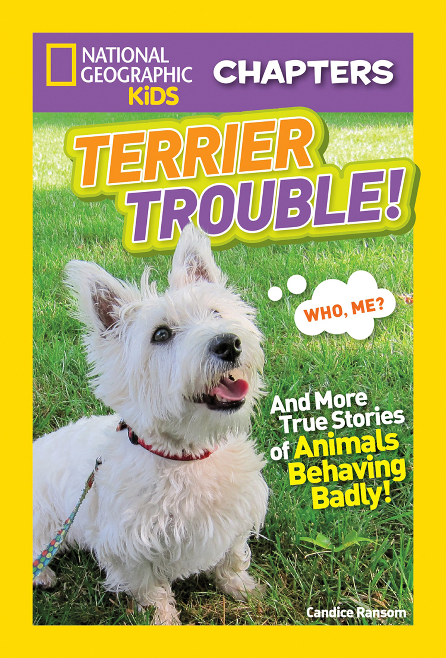 Обложка книги «National Geographic Kids Chapters: Terrier Trouble!»