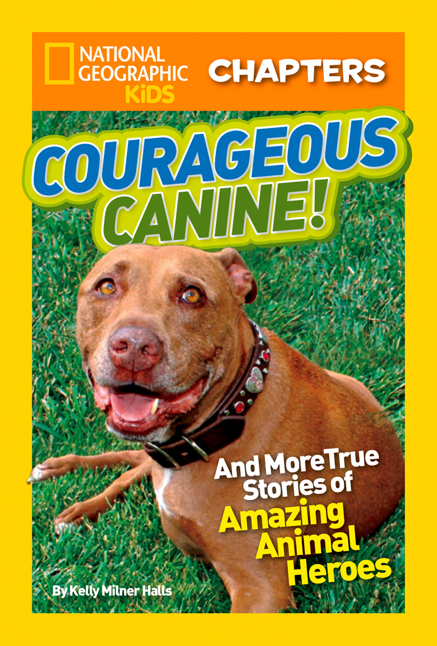 Обложка книги «National Geographic Kids Chapters: Courageous Canine: And More True Stories of Amazing Animal Heroes»