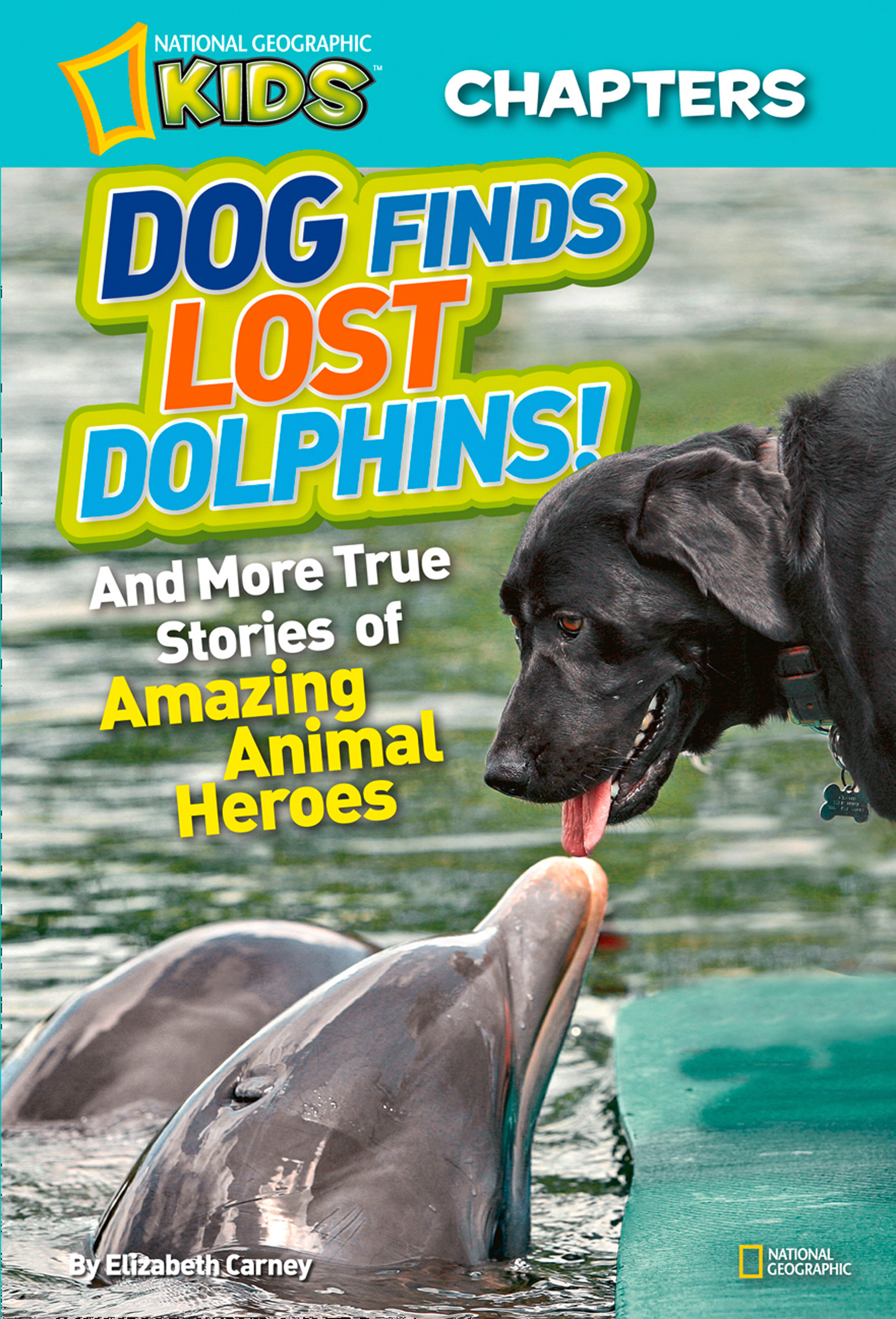 Обложка книги «National Geographic Kids Chapters: Dog Finds Lost Dolphins: And More True Stories of Amazing Animal Heroes»