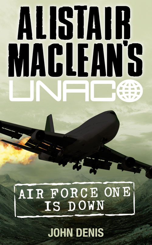 Обложка книги «Air Force One is Down»