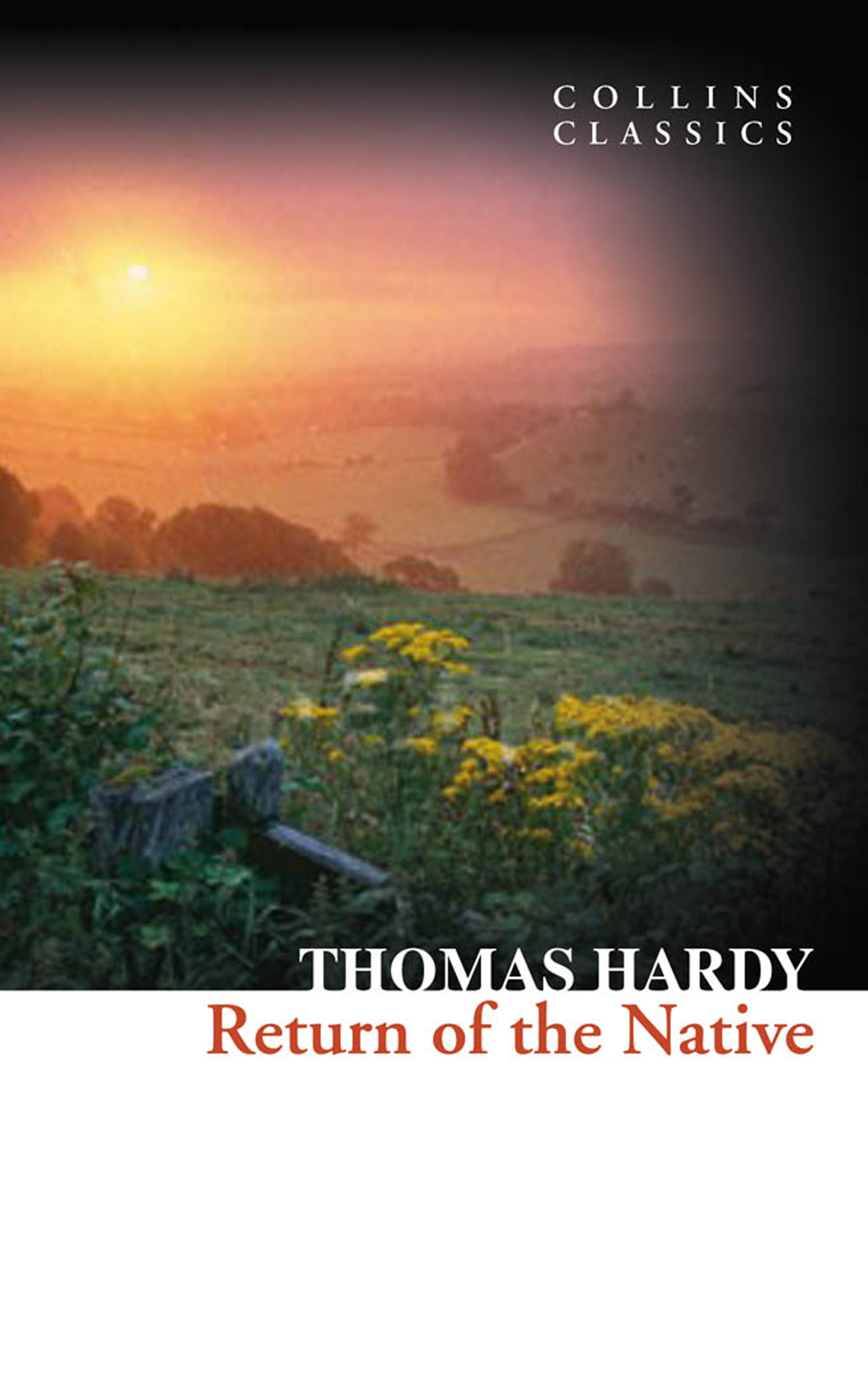 Обложка книги «Return of the Native»