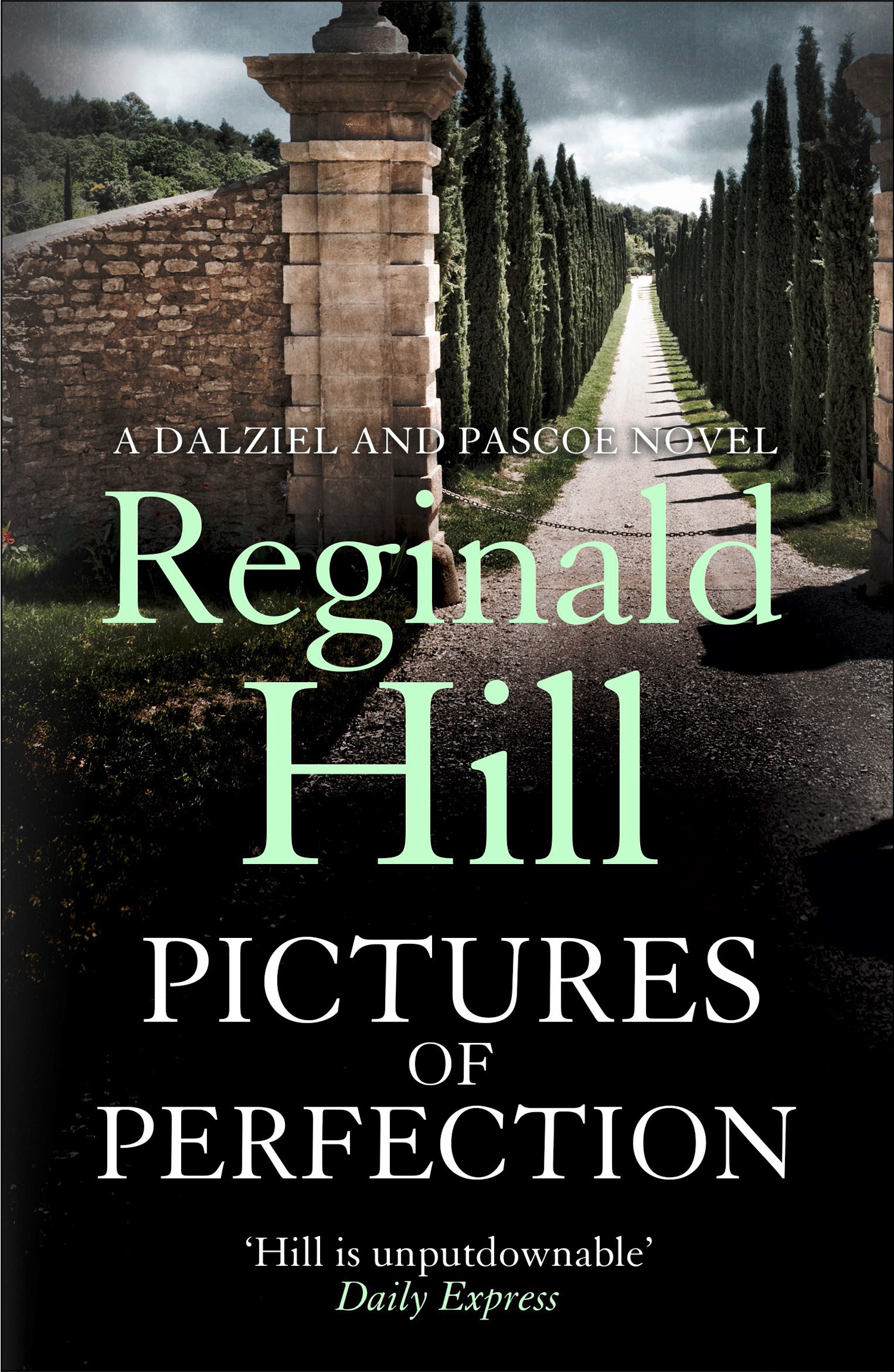 Обложка книги «Pictures of Perfection»