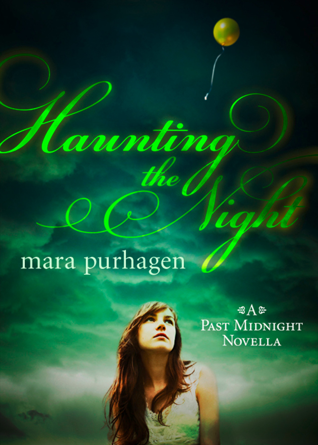 Обложка книги «Haunting The Night»