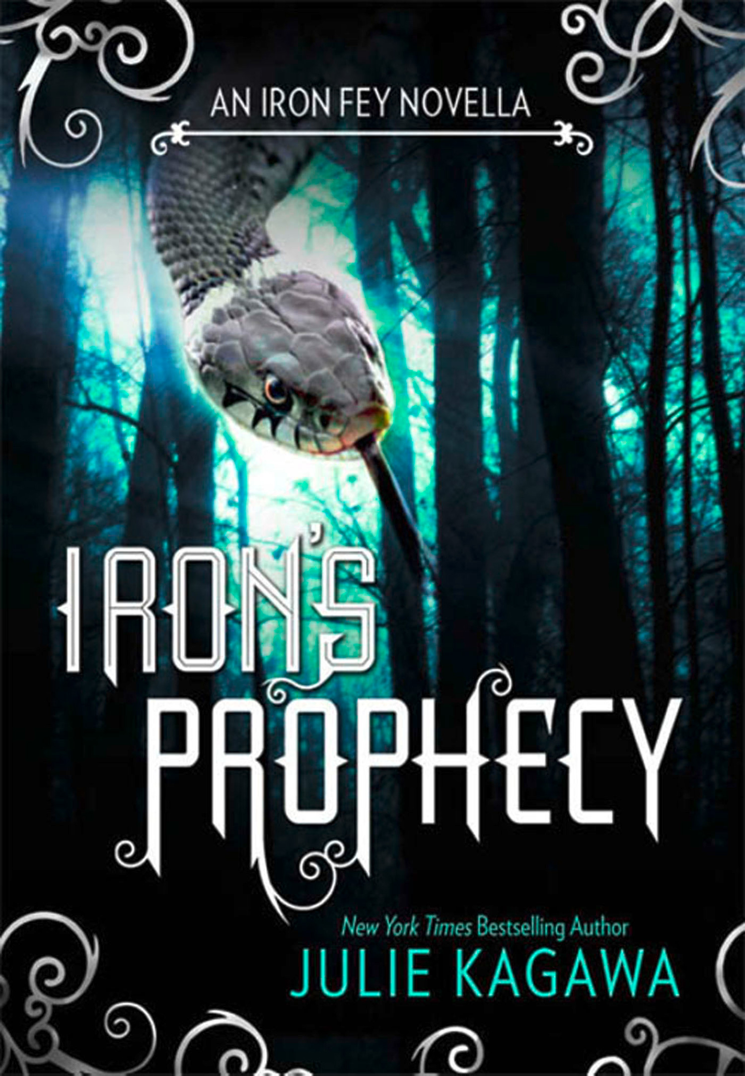 Обложка книги «Iron's Prophecy»