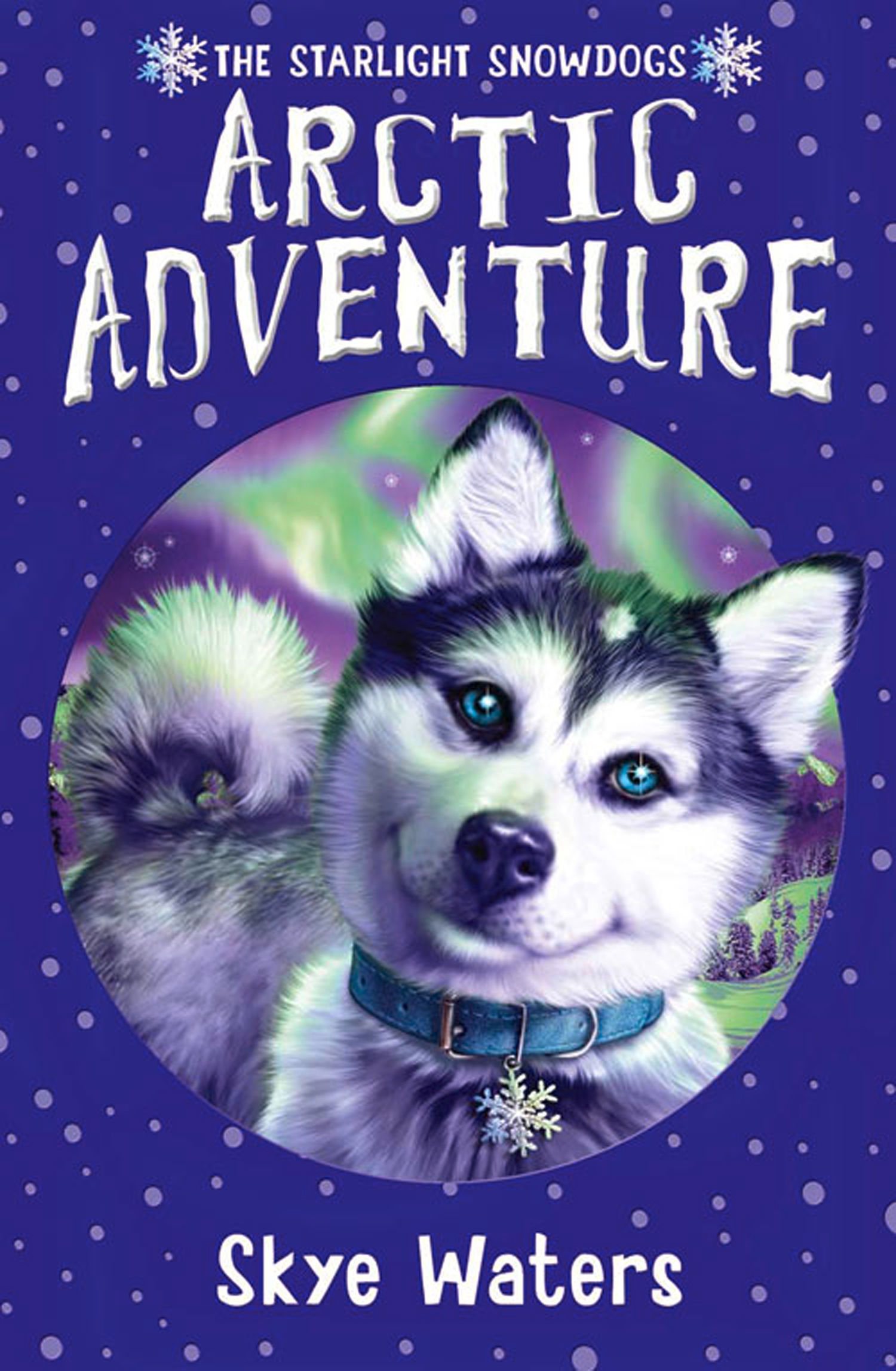 Обложка книги «Arctic Adventure»