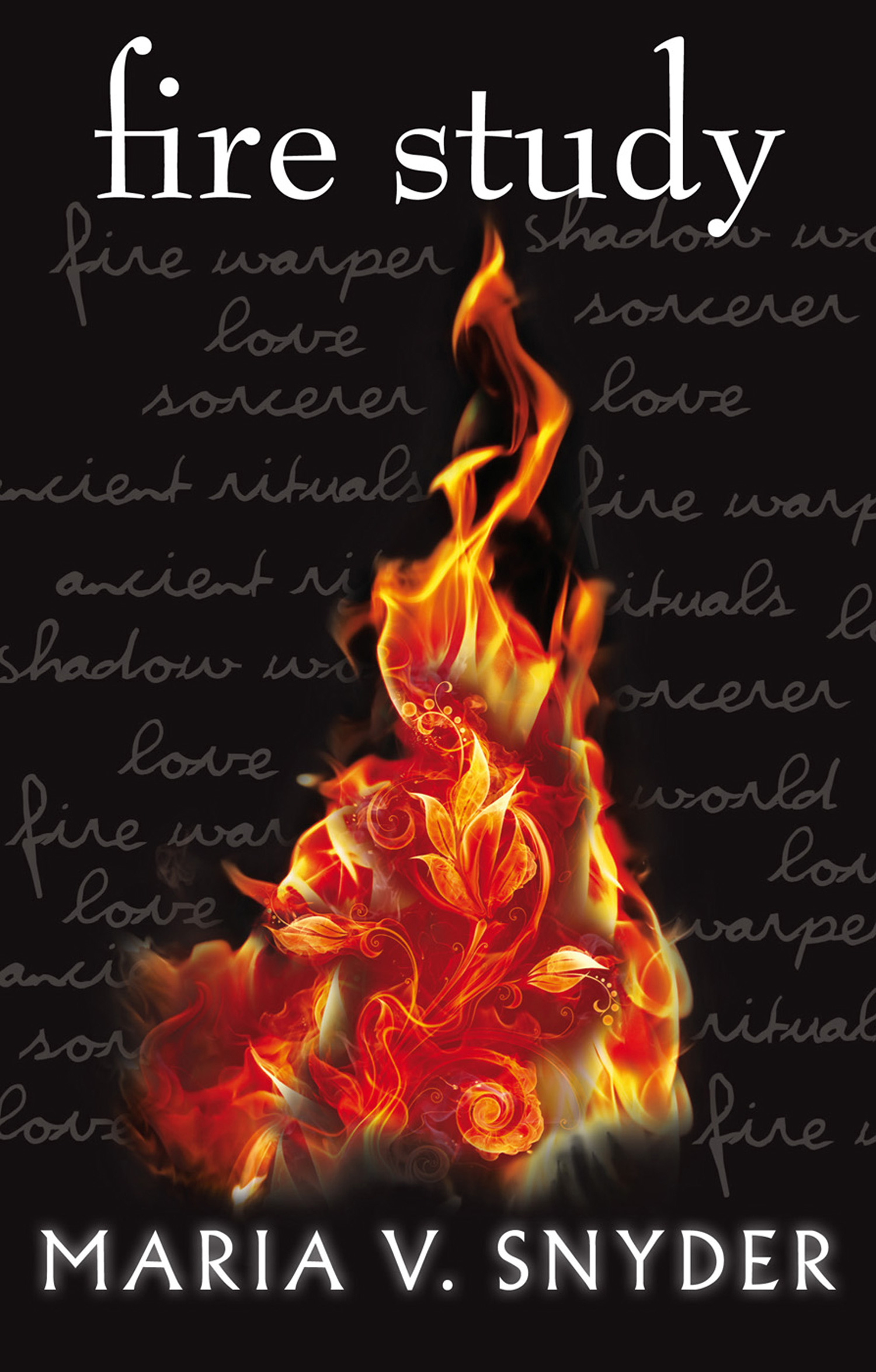 Обложка книги «Fire Study»