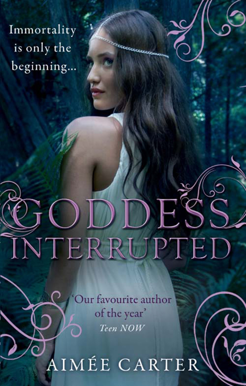 Обложка книги «Goddess Interrupted»
