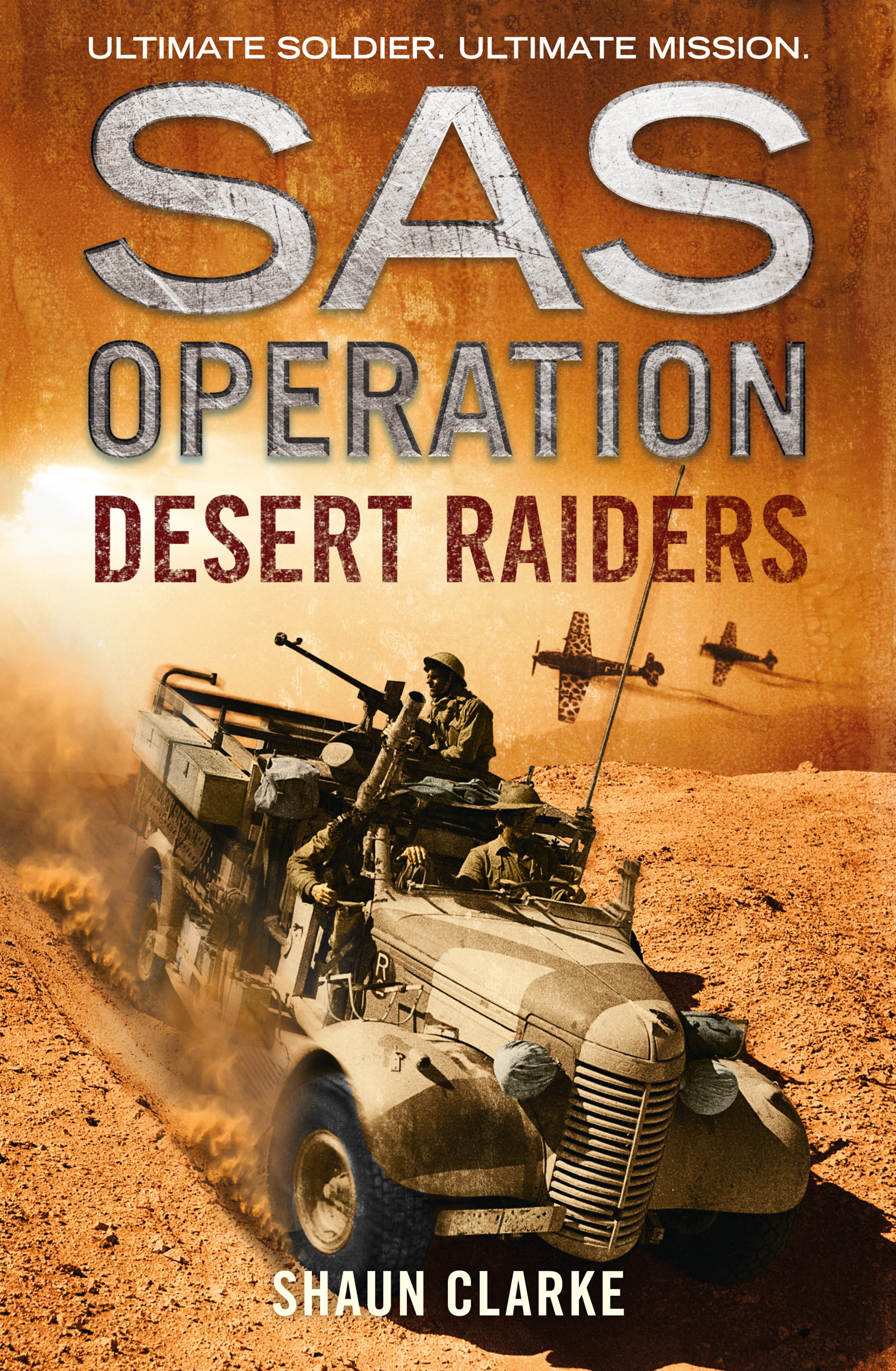 Обложка книги «Desert Raiders»