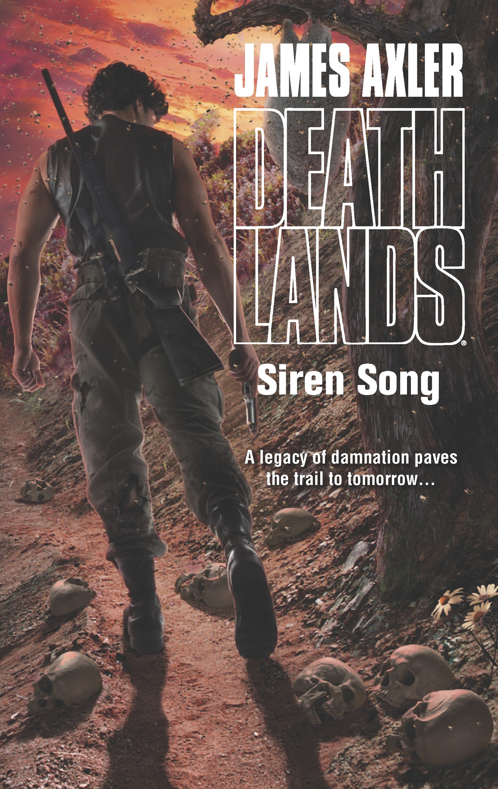 Обложка книги «Siren Song»
