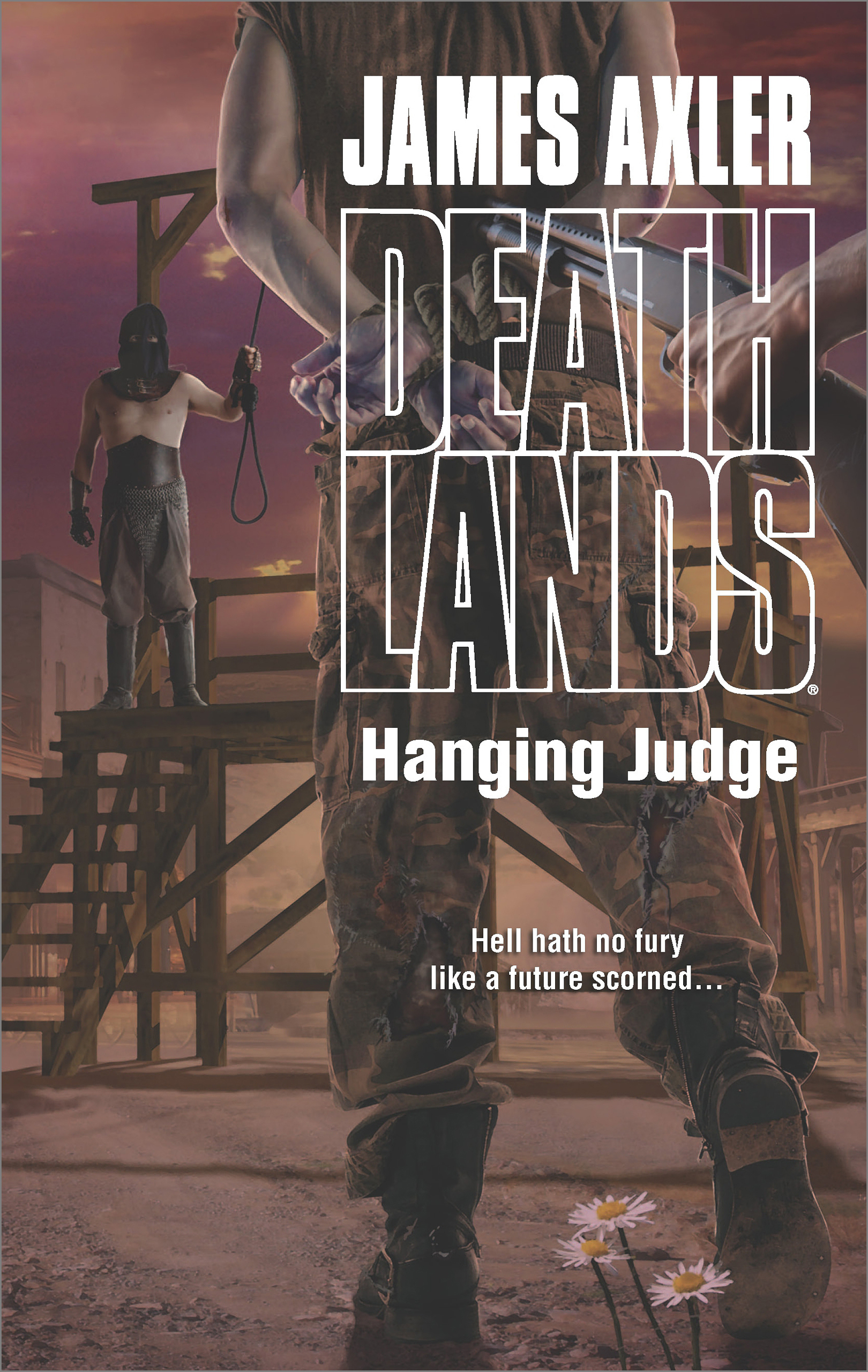 Обложка книги «Hanging Judge»