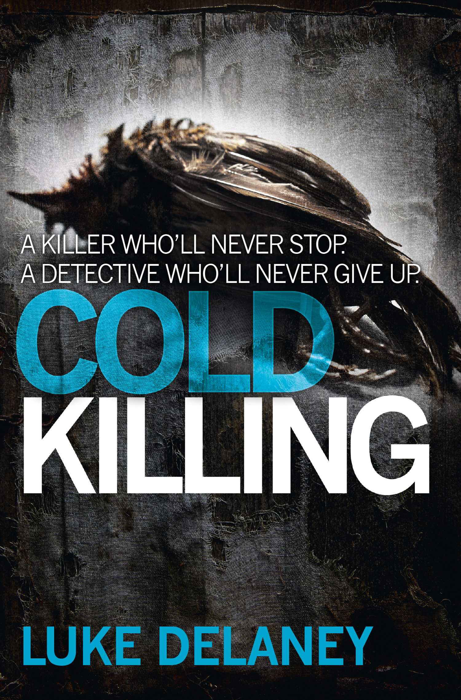Обложка книги «Cold Killing»