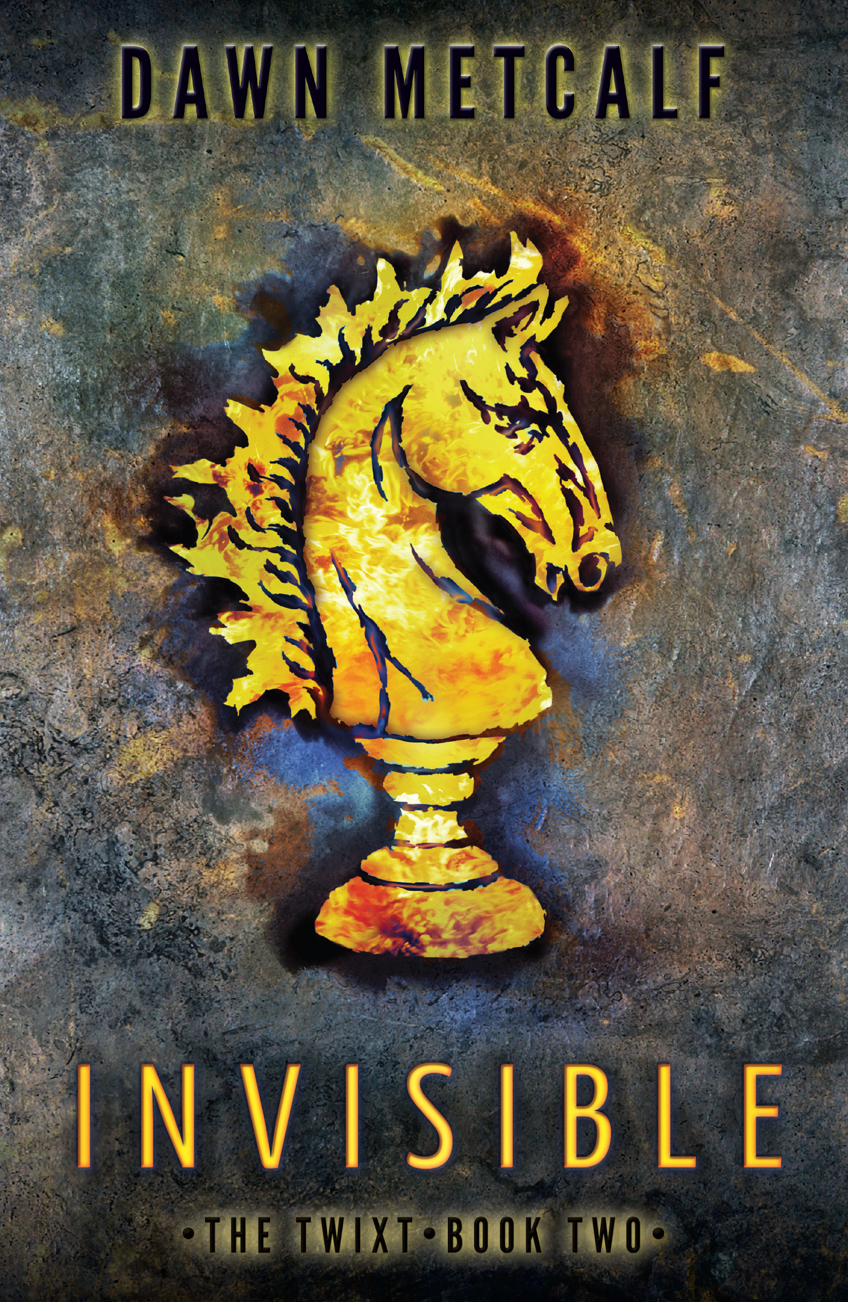 Обложка книги «Invisible»