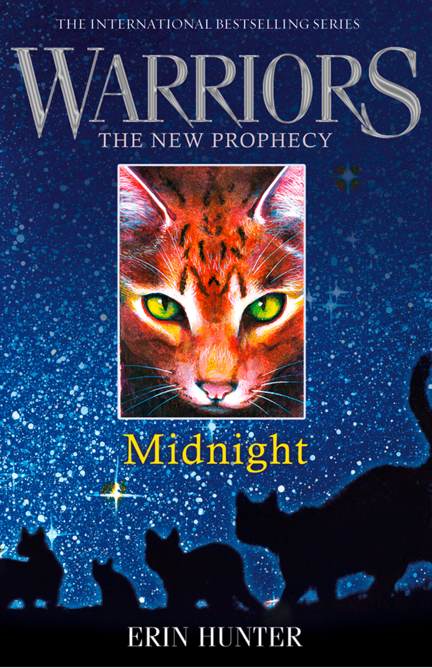 Обложка книги «MIDNIGHT»