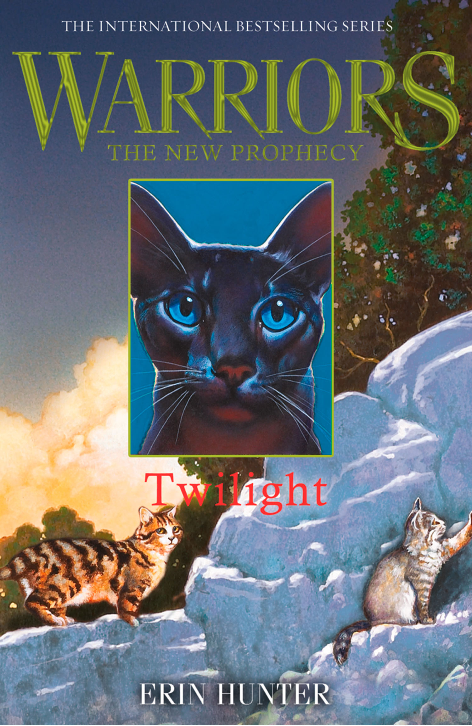 Обложка книги «TWILIGHT»